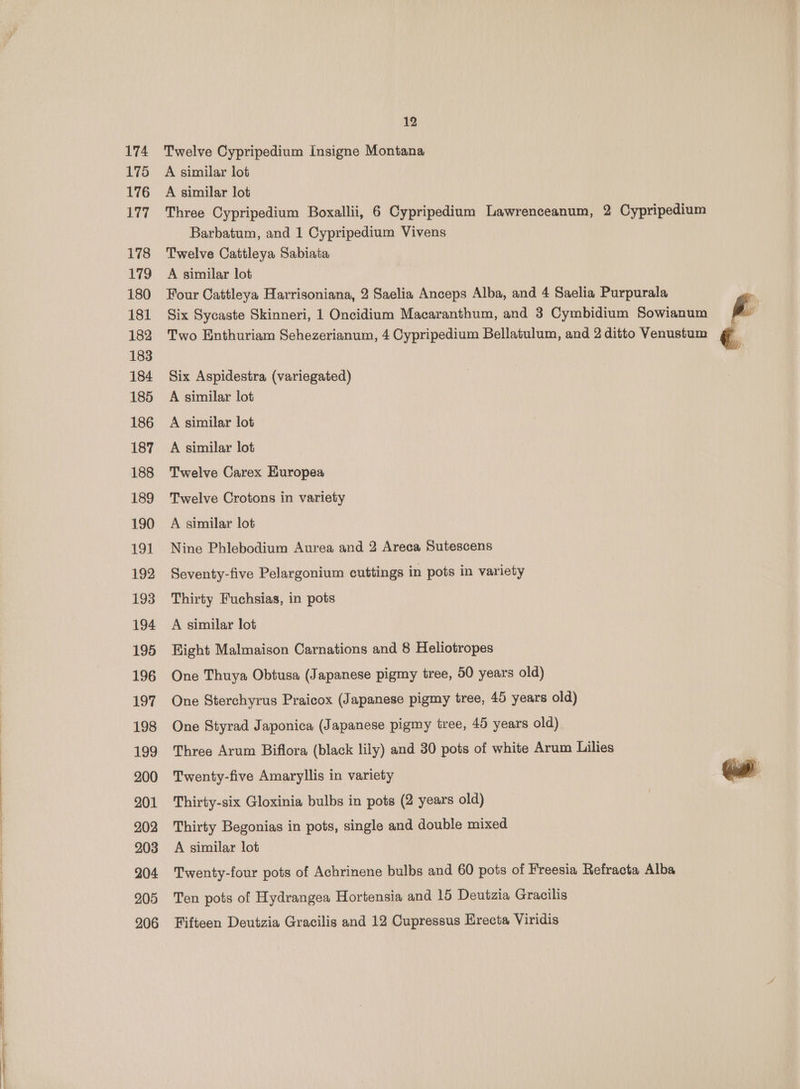174 175 176 177 178 179 180 181 182 183 184 185 186 187 188 189 190 {OL 192 193 194 195 196 197 198 199 200 201 202 203 204 205 12 Twelve Cypripedium Insigne Montana A similar lot A similar lot Three Cypripedium Boxallii, 6 Cypripedium Lawrenceanum, 2 Cypripedium Barbatum, and 1 Cypripedium Vivens Twelve Cattleya Sabiata A similar lot Four Cattleya Harrisoniana, 2 Saelia Anceps Alba, and 4 Saelia Purpurala 4 Six Sycaste Skinneri, 1 Oncidium Macaranthum, and 3 Cymbidium Sowianum 4 Two Enthuriam Sehezerianum, 4 Cypripedium Bellatulum, and 2 ditto Venustum €, yp Six Aspidestra (variegated) A similar lot A similar lot A similar lot Twelve Carex Europea Twelve Crotons in variety A similar lot Nine Phlebodium Aurea and 2 Areca Sutescens Seventy-five Pelargonium cuttings in pots in variety Thirty Fuchsias, in pots A similar lot Bight Malmaison Carnations and 8 Heliotropes One Thuya Obtusa (Japanese pigmy tree, 50 years old) One Sterchyrus Praicox (Japanese pigmy tree, 45 years old) One Styrad Japonica (Japanese pigmy tree, 45 years old) Three Arum Biflora (black lily) and 30 pots of white Arum Lilies Twenty-five Amaryllis in variety ee Thirty-six Gloxinia bulbs in pots (2 years old) | Thirty Begonias in pots, single and double mixed A similar lot Twenty-four pots of Achrinene bulbs and 60 pots of Freesia Refracta Alba Ten pots of Hydrangea Hortensia and 15 Deutzia Gracilis