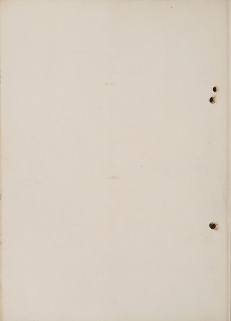 - = oe r 5 4 2 eo » | al ; ” , : tev f : 4