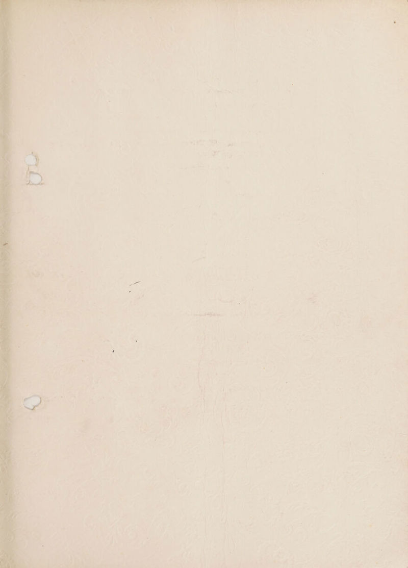 ee Ee) « ne we * ahi oh oa t 2 a em, in. - +) ie i ‘seine’. “a 4 ; Th a f Fe , P i . Ins Ye. * ae , s Gre = +9 | +  ” . ’ « ‘ : . * *, e — : + 7 2.4 ‘ks vd ra ge —— ~ . ena enna 2s a - Sete clade ene Tyee iO es = ~. 7 i er on a ~ ae meet — = Same nm ‘