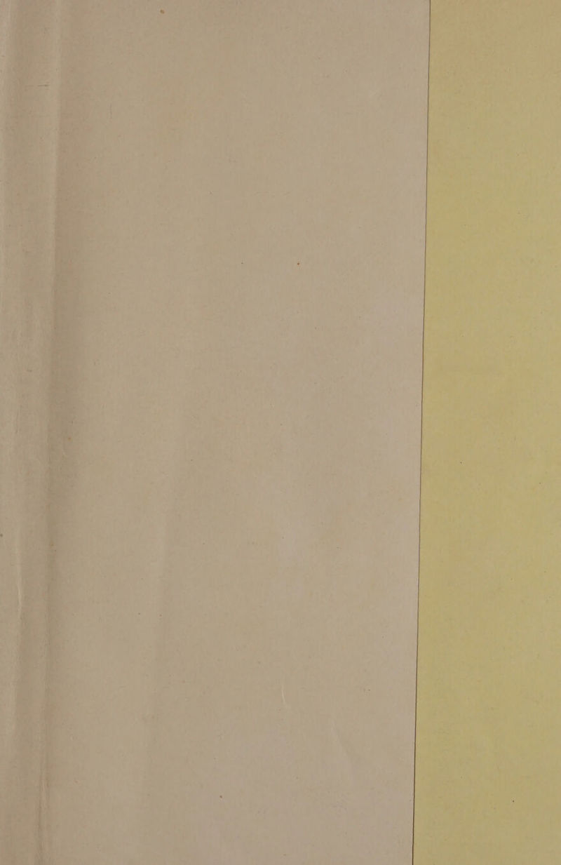 ‘ ° 7 1 as i Pa: ~f e a ae 2 te | es ‘ ‘ 4 rs ” be a * % $ = 7 tay vy eee