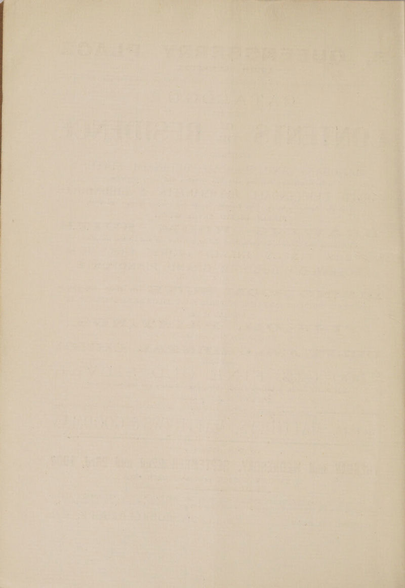 7 a) fad aie Porte doe : +}