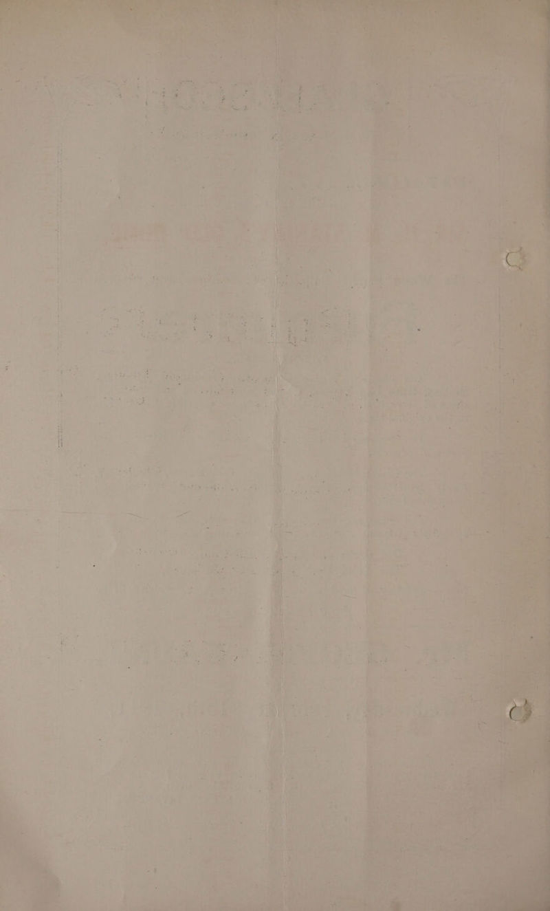 SP co le agedied Cr bemenmee