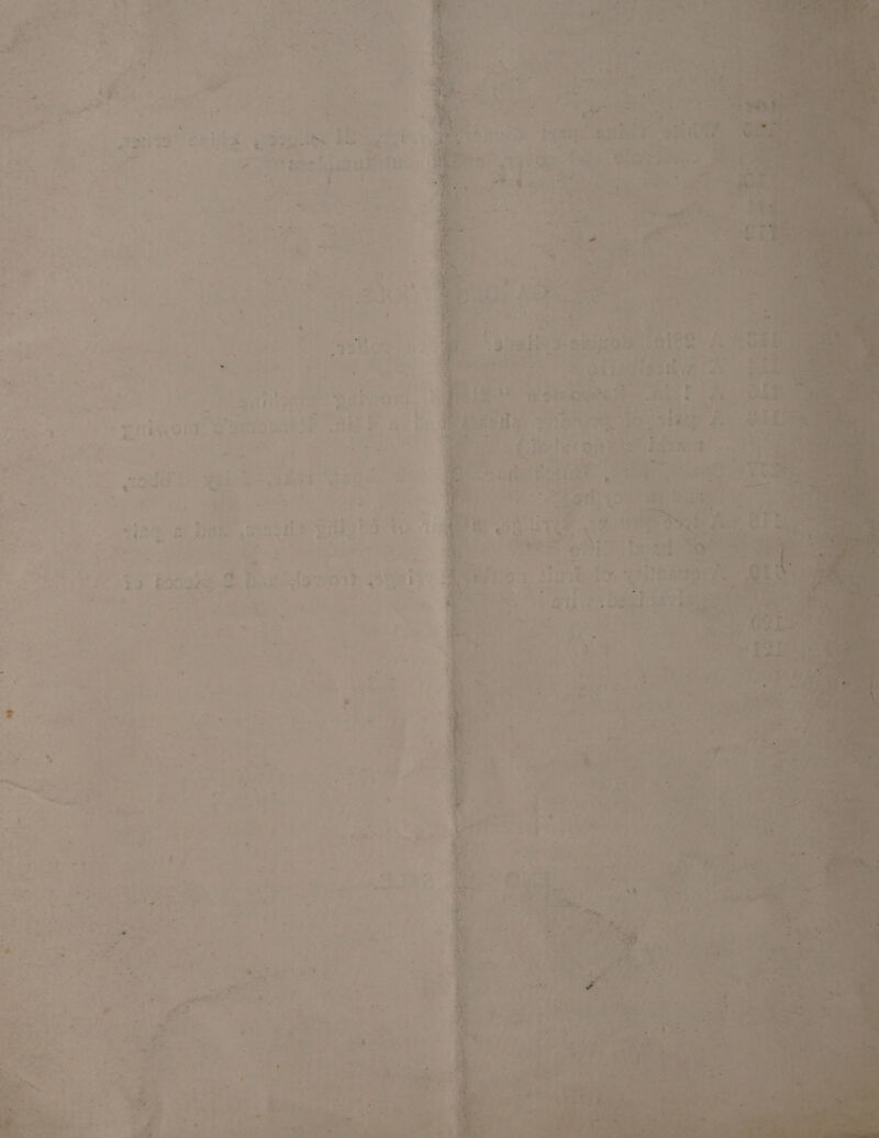 - ¥ 2 4 ’ > She q CF ’ -  P a « : a x * i. * ‘ id id « . ‘ “ ‘ ‘ * a A ; * 7 e : bd w ee , » f- be ‘ . a en * f ‘ <> * ' : ’ “a > ee o” + ai + we ; a 4 oy z eseakl , 4 os ‘ : ; ; 4 “ ; F ; , we . 7 . at , ~ . , DS - e se - _ cee wl. J ; ; ; 2 : hon oe cee. - bi : =f “ry 4 - ‘ 4 . . e } i + an Po 3 te ts De Pe Oe oe j : a3 i ~ : of a