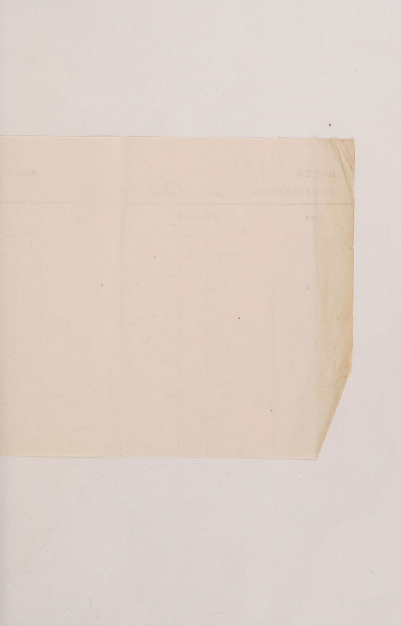 nt es Sy 4 aay a @ eeee 4 ee fwusin &amp; « npn