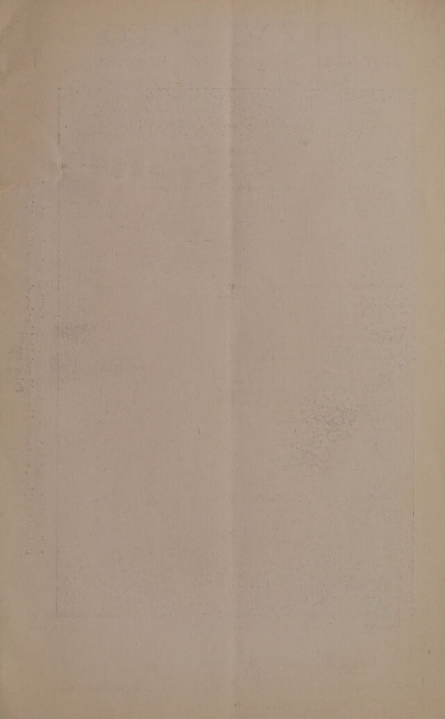 digitised image 3
