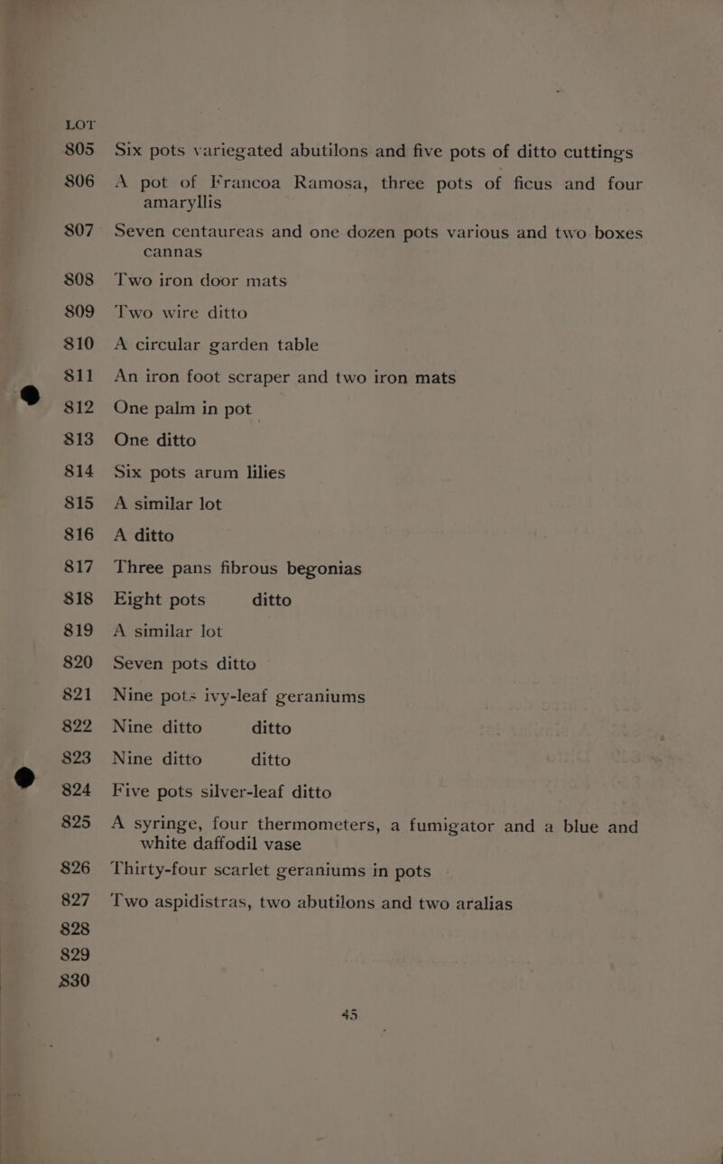 805 806 807 808 809 810 $11 812 813 814 815 816 817 $18 819 820 821 822 823 824 825 826 827 828 829 830 Six pots variegated abutilons and five pots of ditto cuttings A pot of Irancoa Ramosa, three pots of ficus and four amaryllis Seven centaureas and one dozen pots various and two boxes cannas Two iron door mats Two wire ditto A circular garden table An iron foot scraper and two iron mats One palm in pot One ditto Six pots arum lilies A similar lot A ditto Three pans fibrous begonias Eight pots ditto A similar lot Seven pots ditto Nine pots ivy-leaf geraniums Nine ditto ditto Nine ditto ditto Five pots silver-leaf ditto A syringe, four thermometers, a fumigator and a blue and white daffodil vase Thirty-four scarlet geraniums in pots Two aspidistras, two abutilons and two aralias