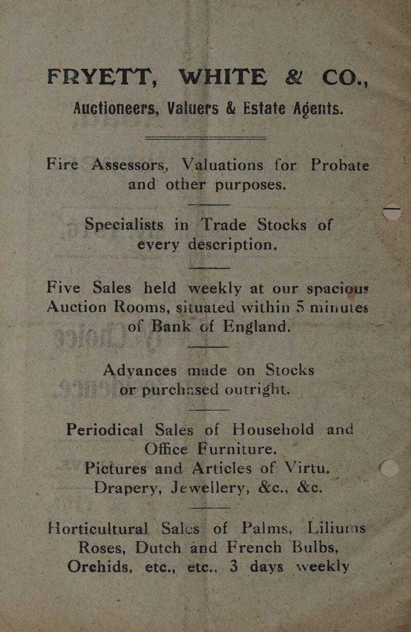 FRYETT, WHITE Q co. \ ‘S Auctioneers, Valuers & Estate Agents. — y ~< a ee Fire Assessors, Vouations for Probate and other purposes. Specialists in Pade Sideiee ‘of every description, Yy Was five Sales held weekly at our spacious Auction Rooms, situated within 5 minutes of Bank of England. = = Advances nade on Stokes or purchs pee outright. Periodical Sales i Household and. | Office Furniture. ~ Reh Pictures and Articles of Virtu. Drapery, Jewellery, Ken ey oe Horticultural Sales of 3 Palms, Tle. Roses, Dutch and French Bulbs, ss Orchids, ete., ete., 3 days weekly