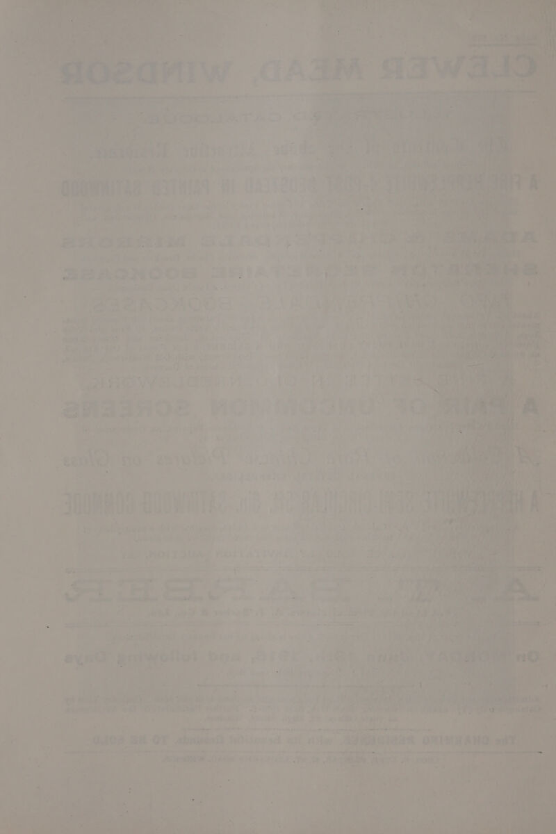 : - a ia ; . . ma . ‘ _. . ree he ae : Peiciee are © p ) } 7 + , = = Mee -_ BSTHAS | rene Mec si eae : . aie ee se ay 44 AD y= od GaN “2-7 as ; ; ? ae BRORR ia 2 ee Pee or Te RED ; ie aA b Feri A > . ad Bea) ibe es - ata “ee c = 7 iF “Th ais = a fy ix, ¢ a os Wao ACC: “ABA <> ~. “eit | es La y ‘ * - oF. bts ; $3 e 7 3 raaiihies 4 es A . - ; a , See aye i 3 i: ; a aicY atten he) peaks fe 7 . < ’ BAO WIGS: ica ee a a - 4 ‘ oe “- anaanoe vcr wOgMG Te 3 * ; ts eaten: / eed 4 eanie) fo ais iD | , ta ae -FaOMHNS. Buowitae: 00 0 RA a a Lie sistigiante Wu rr iti Ves ; ait ®! ‘ab ge J bail ues hi ee “ae? a+ ee Mit} Jus oe ee ‘ = a tee eee j iwtinws sd -* rf Ame : A agi Aab -a ge Shab Se 4 ie al sie Lite ak ae : ee | a