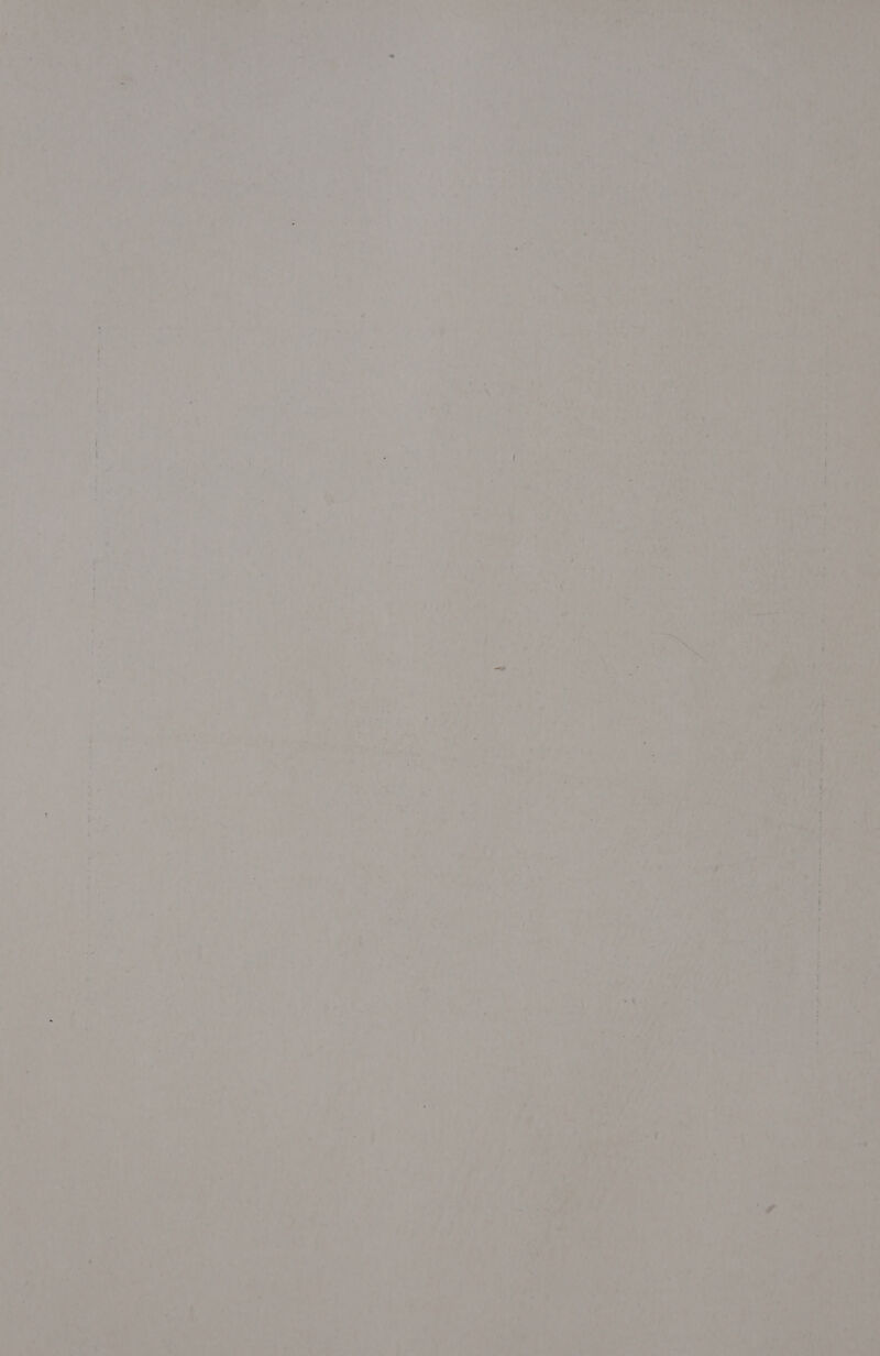 ' * byes < x a 1 Wt 4 ¢ ’ PO | Oat are } +) ate ‘ : » ‘ ‘ a = y 2 YER | me T ® wv eae. &amp; ' cna ah we Z = ice % hd P ehey * ~ A 4 rt Aa 7 .* q t a ~ ' AY 7 ° j } 12 0 pi sare é Wet ? a “ ¢ St, As -~ rh * 4 a : - = ’ . rd , * ee + , oT. hee 4 Poth. a j i 2 ak f ’ : : : , epee 7 ae ¥ ae 4 ? 7 /- § PY  ah, a Saat al ot on ’ e , utwe ‘ rh Gre : + MPars a 4) Ae} 4 < $ ‘ eee j » Al rans i Wig ake ? o vs . UJ . ¥ a i 4 Pi : . “ wut’ 4 . + 4 et? oak} . 4 ‘ = E ’ ‘ ** a . te ' ry <s ' . = ~ @ e * re =a ts ' ’ : Soa oe | 7 ¢ ts sta i a . ‘ Fi a : Le > ‘ Me wet. P Sai , 4 . = © ? >~ oF H ars oo Me F , % , ; vA we . Yo-= ; ¥ * - v \ > $- , i> hi » 7% o 7 a’ § suai’ &amp; iy @ we a ee ing 4 ’ ‘bea by oe an * Sa! 4 a. lie) 1 oy Aan es ite ha deh. : > . ha wees: vee: i § . , ‘ a ee Va 405 Se at, iter aed ad oa) ie.” Noe i a me ney *. ws - Bi [ee eay ot 6 ee “ a > ie! ; i 0 WALA (i Y Bev tice ns wih Siete oY + r . ? . c = <a é Sete s Fe SEY - ae : - ~ . a ek as #8 % &amp; s ~ re o {4 (e 7 be ant 7 t iy ,’y 4 aor x . be ‘ > . ae, | 1 ig ‘ ae &amp; r a7 - a] e 5 s Od , 4 i > | : ae ee MO &amp; hae ian er ee ; ’ eA! hes te as 45 ie P che 7 Pi 4 a a re | SM by ‘tes 734) s ie , Laer 6 aaa oon a 4 « > r ae | ‘ * on J ‘ . ' ee th ty 80 al 4 s v