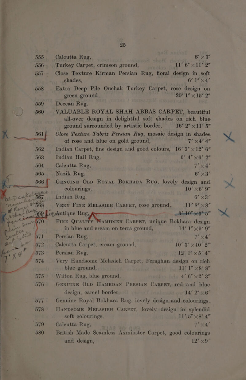 555 Calcutta Rug, ra 6’ x 37 556 Turkey Carpet, crimson ground, SR ore hes ag 557 Close Texture Kirman Persian Rug, floral design in soft shades, 6’ 1 x4’ 558 Extra Deep Pile Ouchak Turkey Carpet, rose design on green ground, | 20° 1 x 15'2” 559 Deccan Rug. 7 &gt; 560 VALUABLE ROYAL SHAH ABBAS CARPET, beautiful all-over design in delightful soft shades on rich blue ground surrounded by artistic border, 16’ 2” x11’ 5” Close Texture Tabriz Persian Rug, mosaic design in shades. pe of rose and blue on gold ground, UKE 4” “f Indian Carpet, fine design and good colours, 16’ 3” x12’ 6” Indian Hall Rug, nee, 3G. Calcutta Rug, 7x4 Nazik Rug. — . oe GENUINE OLD Royat Boxuara Rue, lovely design and. vi colourings, 10° 6° OF oe. Indian Rug, Me as 3 Very FINE MELASIEH CARPET, rose ground, 1 Ss , Antique Rug, a EE a * get OP OS” ~~ * Frve Quaity HAMIDIEH CARPET, unique Bokhara design in blue and cream on terra ground, bd hte a 2 Persian Rug, T x4’ Calcutta Carpet, cream ground, LOS X10] a Persian Rug, ha Xba Very Handsome Melasieh Carpet, Feraghan design on rieh blue ground, Lk; 1’ x8/,8 Wilton Rug, blue ground, A eG: + GENUINE OLD HAMEDAN PERSIAN CARPET, red and blue. design, camel border, 14’ 2 x6” 577 Genuine Royal Bokhara Rug, lovely design and colourings.. 578 HANDSOME MELAsIEH Carpet, lovely design in splendid soft colourings, 11’ 5 x8’. 4” 579 Calcutta Rug, 7’ x4’ 580 British Made Seamless Axminster Carpet, good colourings and design, hi