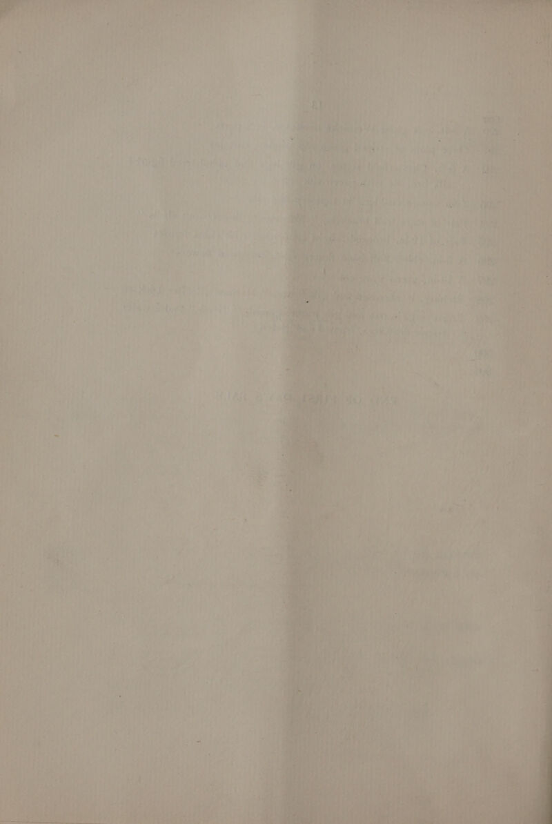 i ee cy, ti4 7! £ <p Betis fotki. iy | 7 . ! - + .  J q =. 7 is) 4 | ce alee a r 4q Str alie aa Die re ‘ : ; 1 atlas 4 xb Mara: | : : stele). fh Oeaaa 2) i : act’. | ry al hv a ue t Di ried 4 j 2 ; HON ede Le) aa soot eA ES | j’ .. = 2 Ae J . , my ee hit t ae mew = Ke env es oe | : ad (fo lia, Vy > Tey d fat mus ey of 7 aie. i Wabra Tic ae fn 7