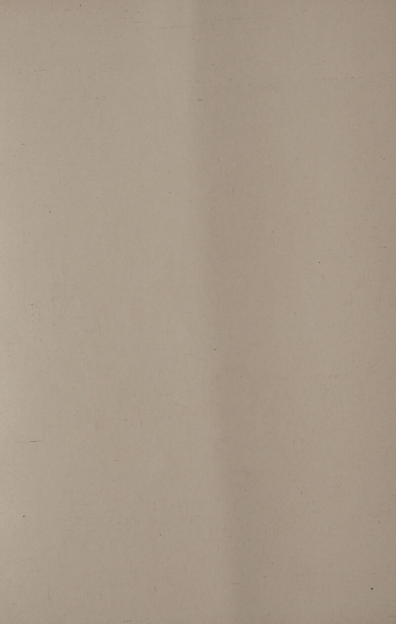 we oat ¢ a > re! was a, ae 24 ees” Oo oe a ta Mas ve