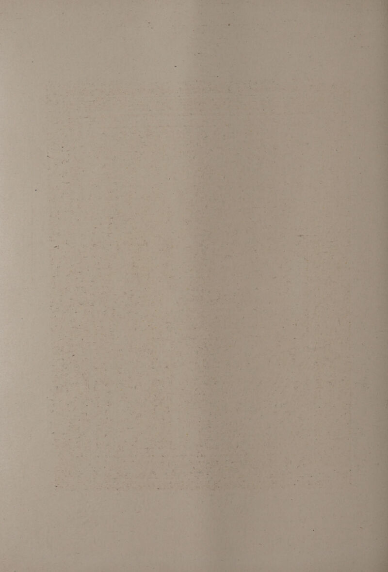 A g . ~ i —« 7 if i « Py? . Bt poly *, ' - * 4 » >. - — . « ey Fi , ? . ¥ - _ ee i . * &amp; r rm A Paes ‘ go ¥ aS Larne 1. J ad 2, SP iv ; U oe - * Sees yi « . , a: te ; y * 4 i -* \ ’ , i= . ts so OF SS. ’ Fi a = ¢ lee i i Ps ’ x