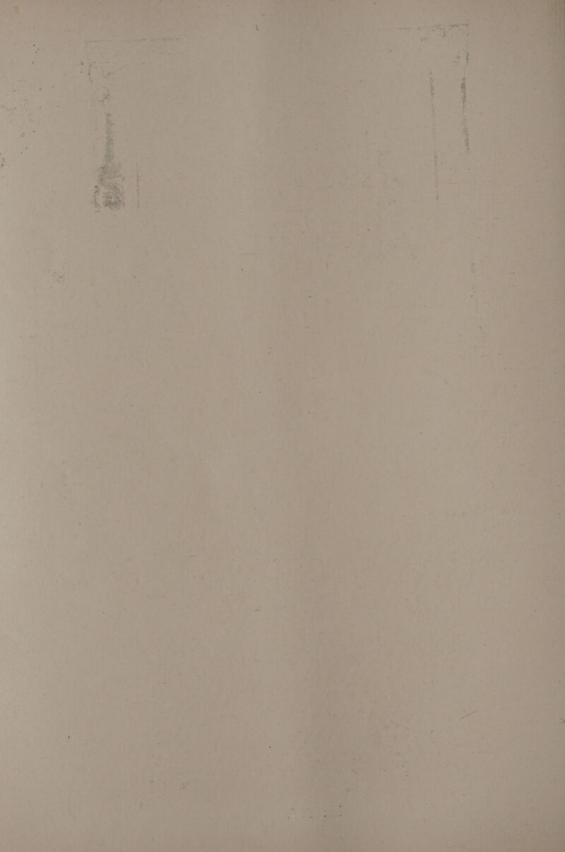 i ae ; : Lee = alg AGED REELS et