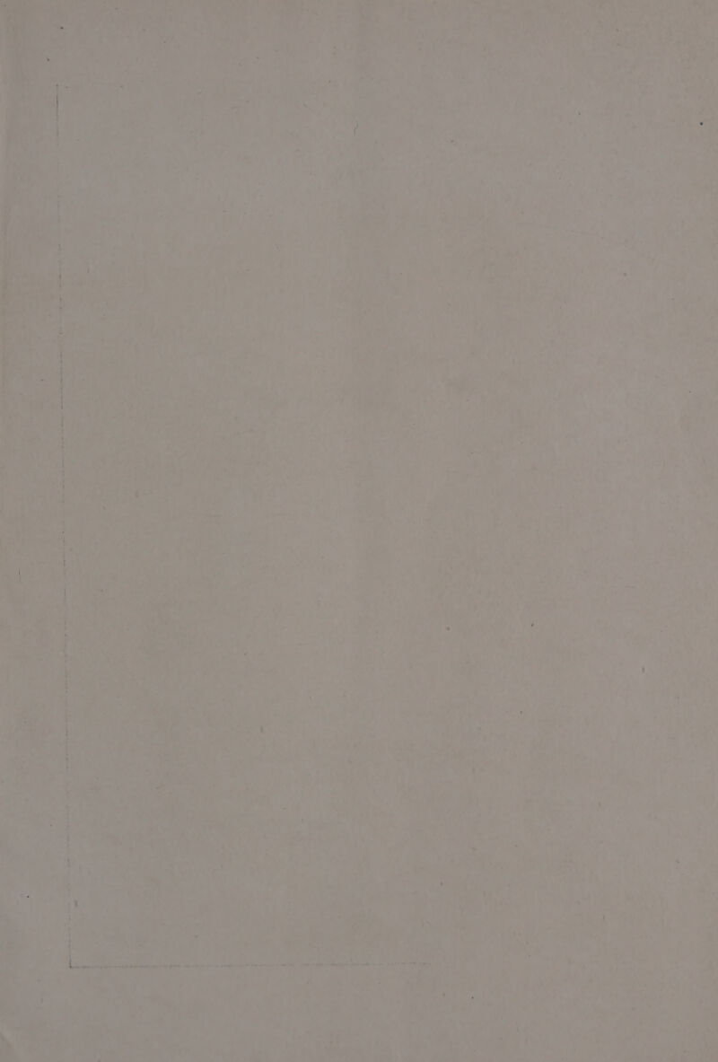 ) eae, eh *) ; ats ASO is tA a a : i pire. Re eet era _ = apn im > wes ba i a acat me » eee ae “ity cua a nei ¢ - wry - - oy