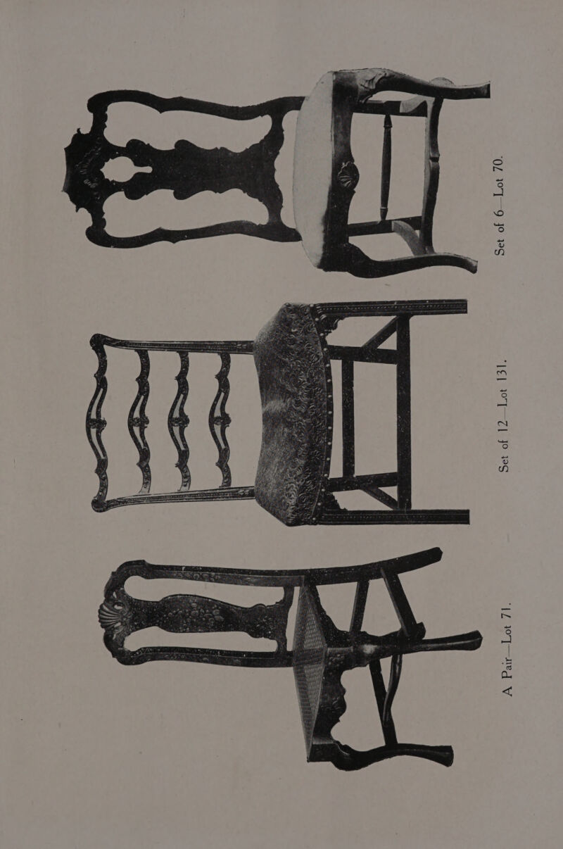 Set of 6—Lot 70. Setrotel2—-Lote lols A Paw Lets 712