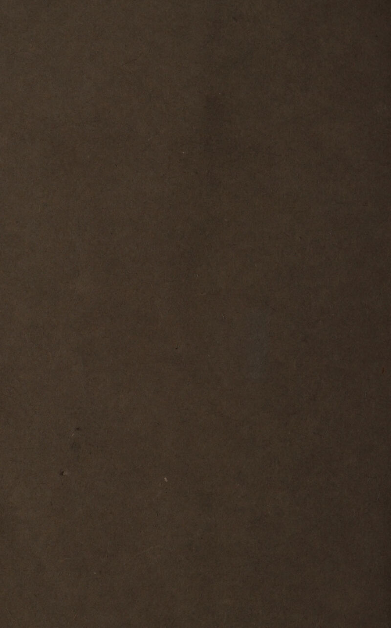 oe faa ‘~ i of ; pay ak