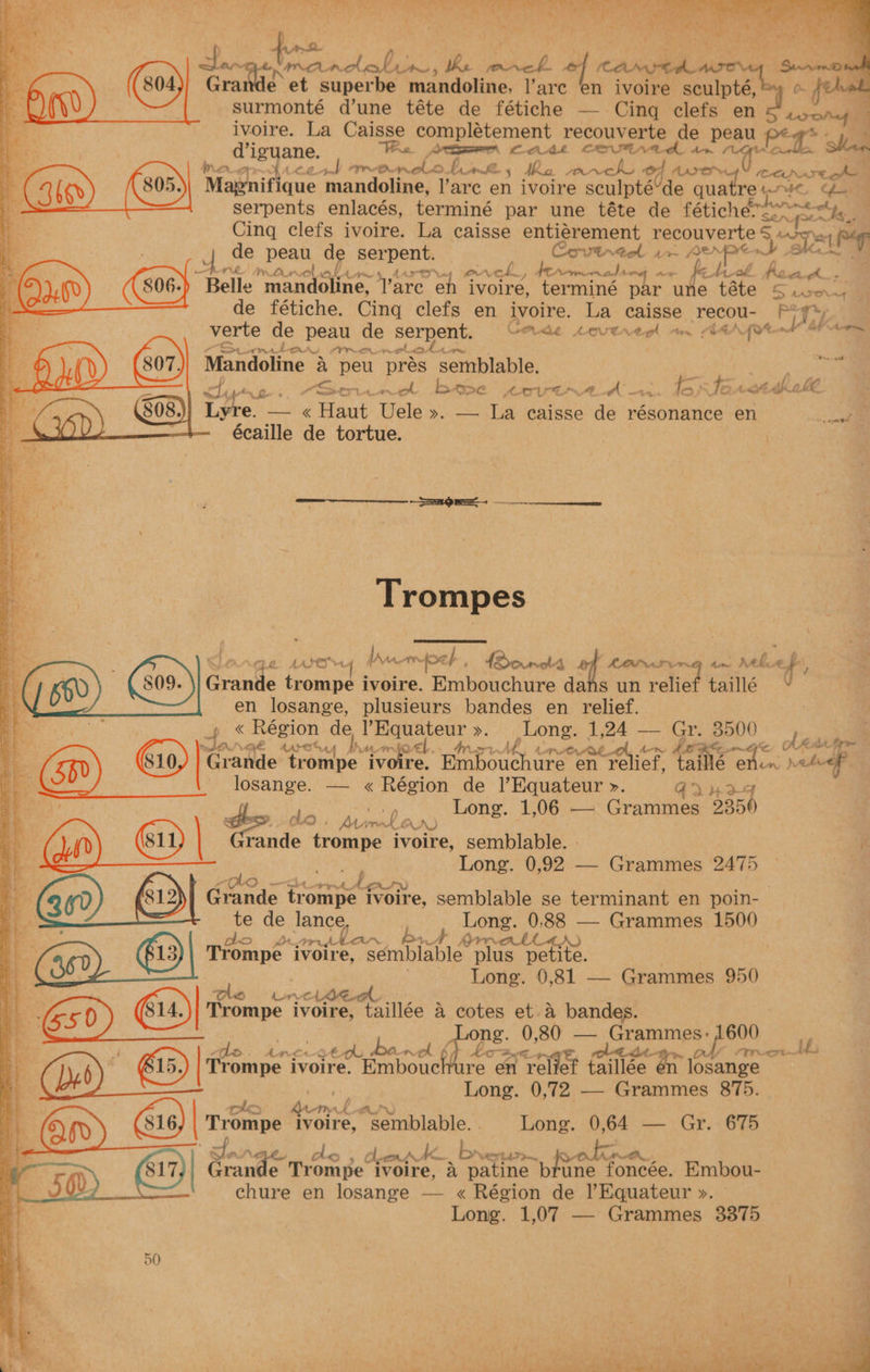 Pts WOO SEG eee Se POR Sy eee eee Meee . ‘ ; ee aeareky t AS i Re te Src nil hein, the See: (Casa. Grande et superbe mandoline, lare en ivoire sculpté, surmonté d’une téte de fétiche — Cing clefs en <, ivoire. La Caisse compléetement recouverte de | eau pe MoU free tel FIR Ont bint. 5 “Ma pen sia ERE Mapnifique mandoline, |’arc en ivoire sculpté“de quatretwue Ge serpents enlacés, terminé par une téte de fétichea sh Cing clefs ivoire. La caisse entiérement BEPOUVET LCS Peal Pap de peau de serpent. Covindel ix ee | re AR Dur aluat tare rr” bens dt tepiialh “aA fetral tas 0s ) Belle mianeloline, “Yare eh ivoire, terminé par une téte Sirona - de fétiche. Cinq clefs en ivoire. iis caisse recou- ww ify) verte de peau de serpent. CAde Loutrerl an deAyor om Su. pri bow LOR old me ek Mandoline a peu pres ‘semnblable. 3 es coh phon eer nS Se a oh bea P< AAU SE Ax, &amp; oF ieee mn en f Te Lae dic ke Lyre. — « Hat Uele ». — La ecaisse de résonance en : ee écaille de tortue. ———_——_ or: dee. ag <4 me AASOS 4 a AMIS ef Od. occas | RAPA URG aie 0 a () 690) Grande trenne ivoire. a oni dahs un relief taillé » en losange, plusieurs bandes en relief. ig « Région ie eur >. ose 1,24 — Gr. B00 Mah fA HE a4ares AA Ur. OL. . AY ori. Lamotte. PEE Ae ee AK Litre Grande trompe ivoire. Grabouthon en relief, tai We chun: sated f losange. — « Région de l’Equateur ». E€dVH2< Long. 1,06 — Grammes 5350 te , clo ys | AN) Grande trompe ivoire, semblable. » it om Long. 0,92 — Grammes 2475 oes eg he Grande Ponte ivoire, semblable se terminant en poin-— te de lance | Long. 0.88 — Grammes 1500 Ao nn, iy ~ bat rn ea LL4r) Trompe iWoire; sembiable plus petite. Long. 0,81 — Grammes 950 Son &amp; Me AS an Che Ar CLAVE. A. Trompe ivoire, taillée A cotes et A bandes. ng. 0,80 — Fiore 8 600. ui he | seattle an ae STK cot th Trompe ivoire. Embouchure en Toe Gaitlee taillée én losange oto hem, Lh. Trompe ivoire, ee ae Long. 0,64 — Gr. 675 Fa OOP oe _ i] ke. b NETL an kw es 817, Grande Trompe ivoire, a patine b une. foneée. Embou- 5G) _' ave en losange — « Région de |’Equateur ». Long. 1,07 — Grammes 33875 pe