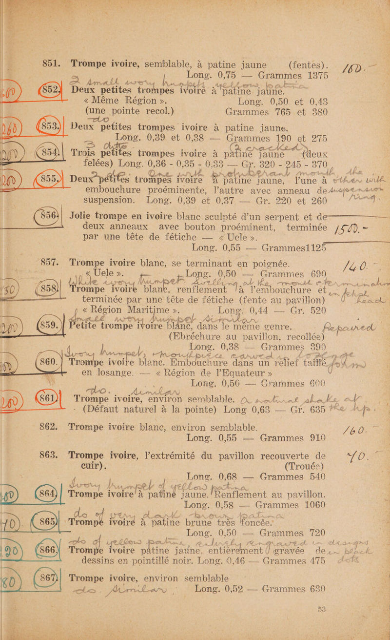 Trompe ivoire, semblable, a patine jaune (fentes). A L iG Be Denice, ni : one. ee Grammes E375 een ‘] Deux petites trompes erat a tpatine Vaune. « Méme Région ». Long. 0,50 et 0,43 (une pointe recol.) Grammes 765 et 380 0 Deux petites trompes ivoire &amp; patine jaune. Pong. (roo net 0.88.2 ones: oy &amp; 275 > 4 é mH = felées) Long. 0,36 - 0,35 - ; 0,338 — Gr hesed\ Abe, O20 - p45 - 310 Ys a (7, ne ut ae at A py La Eat suspension. Long. 0,39 et 0,37 — Gra 220), €t) 260 | | (8564 Jolie trompe en ivoire blanc sculpté d’un serpent et de Abs par une téte de fétiche — « Uele ». Long. 0,55 — Grammes1125 857. Trompe ivoire blanc, se terminant en poignée. ae gas. : Uele ». p Lope. pee — Grammes 690 Wh WE “LAS . thee [Ptr ‘fea Arte hl Lo baa a Ke ord. hee Ae ee ‘rompe ivoire blan a 3 lembouehure Chu joer Re terminée par une téte de fétiche (fente au pavillon)- beak « Région ai Sy! >. oe ye aural) fue Mert iat eee sits trompe ivoire fie! Batcghs meme genre. Rey poured (Ebréchure au pavillion, recollée) ! L Long. 0,38 — Grammes _ 590 Kom M\ Ac oven pe > froetl DAE CE ALA AMT ol a al few pe i blane. Embouchure dans un relief taille, Long. 0,50 — Grammes 600 rq-o ‘ Bie AP he LAN Teepe ivoire, environ semblable. Pe pA jalan Ke 862. Trompe ivoire blanc, environ semblable. Long. 0,55 — Grammes 910 863. Trompe ivoire, l’extrémité du pavillon recouverte de cuir). (Troués) 7 Long. ee — Grammes 540 | Loon, ere ot CL. herd Re Arm Or, 0 Trompe ivoire'a patine jaune.'Renflement au pavillon. ; 3 one Osco gn 1060 ; ‘ dc of | \rfAn4 ok ont Ak, CP Aad Pe News 4, As ‘ | ‘ ‘Trompe ivoire 4 patine Foe tres foncée. = Long. 0,50 —- Grammes 720 4, yeh ler pver An en hana (CAB CASE bem 29) 60) Fro Trom voire patine jatine. entiérement | Uioravae de. dessins en pointillé noir. Long. 0,46 — Grammes AT5 Trompe ivoire, environ semblable aba ArormLean ~ Long. 0,52 — Grammes 630