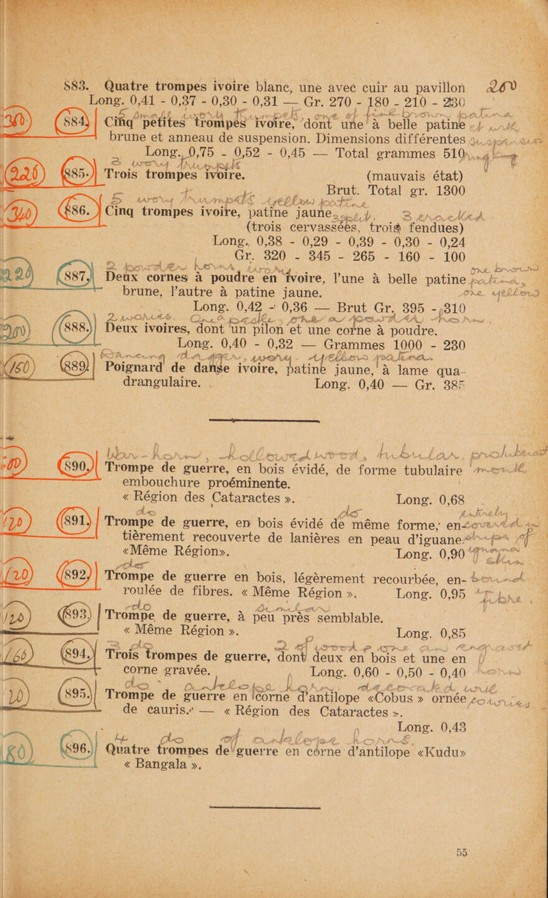 >» te s Ve A” eee ee | bes athe te i re Ate SeeTol Se NCR a eee PAS ye 5 r f i Od gee \ , “ES be beet ree ae Car prey , ? ¥ ¥e Bre by t eS 583. Quatre trompes ivoire blanc, une avec cuir au pavillon 26V a > Long. 0,41 - 0,37 - ae ne — Gr. 270 - 180 - 210 - 230 ie ' Ra’ fet peal YAS er Fv CAA As vs 3h) @) Cinq ‘petites “oh de okee ome une a belle eee A nth, Oe = brune et anneau de suspension. Dimensions différentes 4... Y hee Qaay Long. 9,75 0,52 - 0,45 — Total grammes 51h, 4 ~t. | > INOW AAA RLS “ Trois trompes ivoire. (mauvais état) f vee gree gr. 1300 S tara AY W. pag pel DF er Cing trompes Harte, rk ais seek GD 3 erocrd (trois Jathe capt trois ‘fendues) | | Long. 0,38 - 0,29 - 0,89 - 0,30 - 0,24 Gr. eee 345 - 265 - 160 - 100 ot. ASA EAS RENVEA. fy one. Nafiged : Deux cornes a “poudre. en “Woire, Vune 4 belle pate potimde., — % brune, l’autre 4 patine jaune. pele % ye DUD Long. 0,42 - 0,36 — Brut Gr. 395 ~ 310 20h AA. Cline prcalee > Paae Od AR ind PUMA) Den ivoires, dont un pilon et une corne 4 poudre. slug Long. 0,40 - 0,32 — Grammes 1000 - 230 KS Porcewan “A OL A AG Net > AALS AG fH kL. LER AOE, ie APA, Poignard de dange ivoire, atin jaune, a lame qua- drangulaire. . Long. ‘0,40— Gr, 385 ny Ke _K of bs esL real hoa eed : hy n By. OF i WO al vod besa ompe a ‘guerre, en ae ate de forme tubulaire ard embouchure proéminente. « Région des Cataractes ». : Long. 0 ae 1A a a Os “) Z Fone aie ; Ae . ‘ Reus oy Wey: y}o | Trompe de guerre, en bois évidé de méme forme,’ en£ove wr tA dol it le ‘ { tiérement recouverte de laniéres en peau @iguane?” a a ce S @ = «Méme Région». Long. 0,90 y iaog Re 7 thes~ , ie. \f20 Trompe de guerre en bois, légérement recourbée, en- berwnck roulée de fibres. « Méme fayia a ». Long. 0,95 “ fe bs seo 120) Trompe de guerre, a fou “prés semblable. : « ae Région ». . pone. 0 85 ee. it a. o. P Leora AS 8 CAMA Ces GMS TS Trois trompes de guerre, ont < deux en bois et une en ae ‘a corne gravée. , Long. 0,60 - 0,50 - 0 oS NOY ted Ao) nhelotae k “teint cl Me, a Trompe de guerre en \corne “Pantilope «Cobus » ornée ys Tigges de cauris..— « Région des Cataractes >. 0. Long. 0,48 Quatre trompes de! ‘guerre en fie: Tantione: «Kudu» « Bangala ». ,