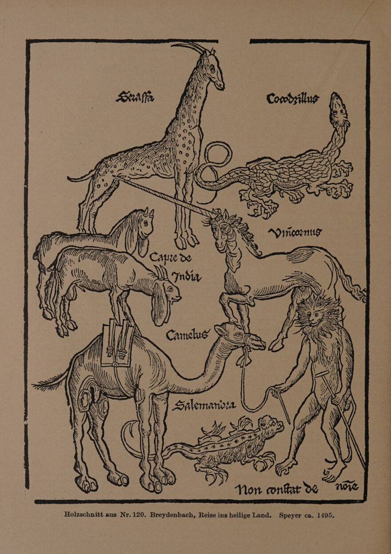 EZ YY a IVa \ ZENS aah PSS a Op. \ ° ey Ga te, oS y\y . sf EE. Sis SL AN NMA oo ELLE Zz YE Say ‘AD wg ‘ _~4f i SS } ie Mes 7: AER \yY &amp;®&amp; De i Cae BSE I KS AGS Ui’ aS CVGeas ROSE > 9 Off Sy t GG Hh ide iy NN Ai CMY iy gpm NX ZEB y A] Vere Ny Os \ | | 4 AN Sel ll Doe anbia f \ dd \ \ AY Yj; \ \\ Gi RAS NY ed \. \y