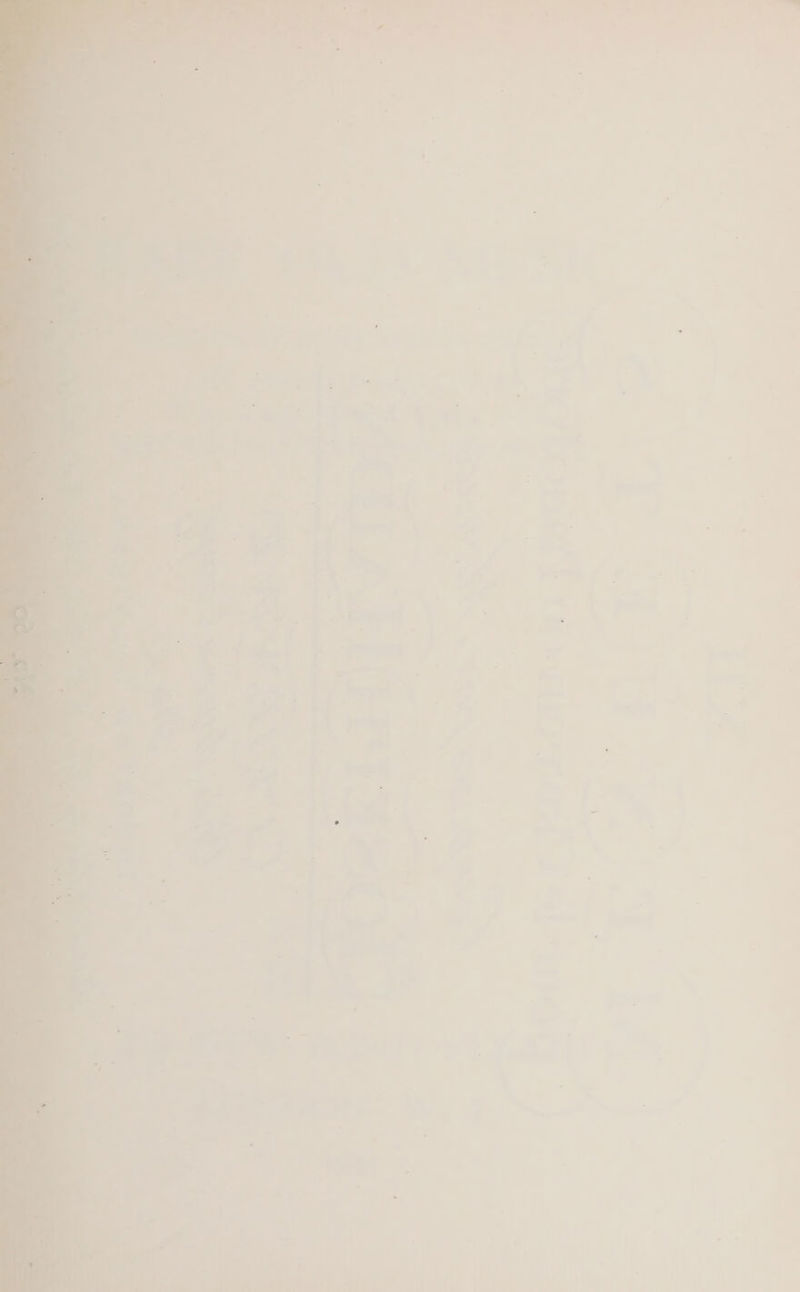 © yet ee &amp; rs * ° eat i \ . i 1 Z r = ‘ fi : ; 7 ; 2 a ry ~ = z ; a | ~ i é + ; baad Z . j i 2 . » a ? ‘ aasemaiined es a i —— OP Fy sehen = homes aa P 6a 2 = te v ee > > a
