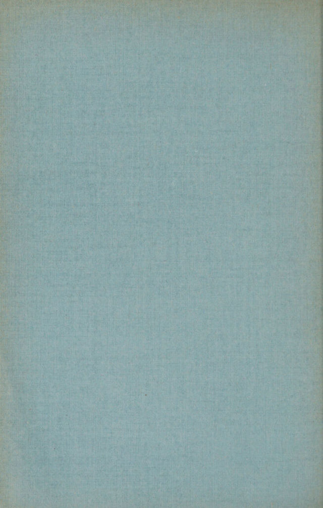 digitised image 2