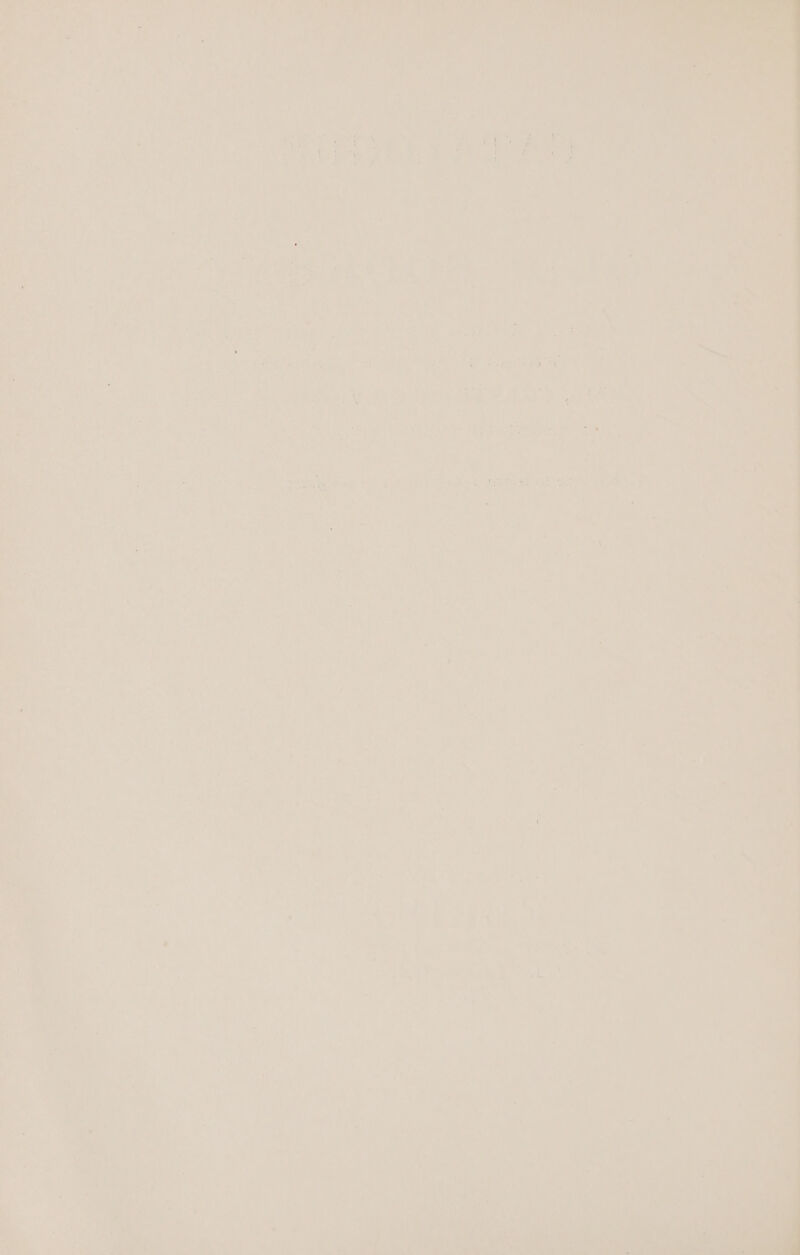 ee 9 oR nie — ath ie '