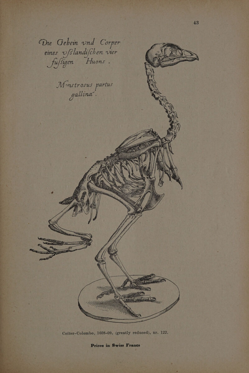 eae “ay Gebhein und Conpens | eines v/[slandifc chen ver SJufs ETL Huons ° m~) Monstr OSUS Feira Ke gulina ; 7 AN AN \\ ey it Bee ae i > nie NY oN Neal: as ¥ ga ail \\ ; ie ae sf £ ° EZ id ips 4 lips. ‘ Ln eT ins ry Ree: dione SSS eee > , >. = mR So ath Rr. a. ts Ser metre Se nis cs i - Ba ye wv Coiter-Colombo, 1608-09, (greatly reduced), nr. 122. Prices in Swiss 3 Francs /