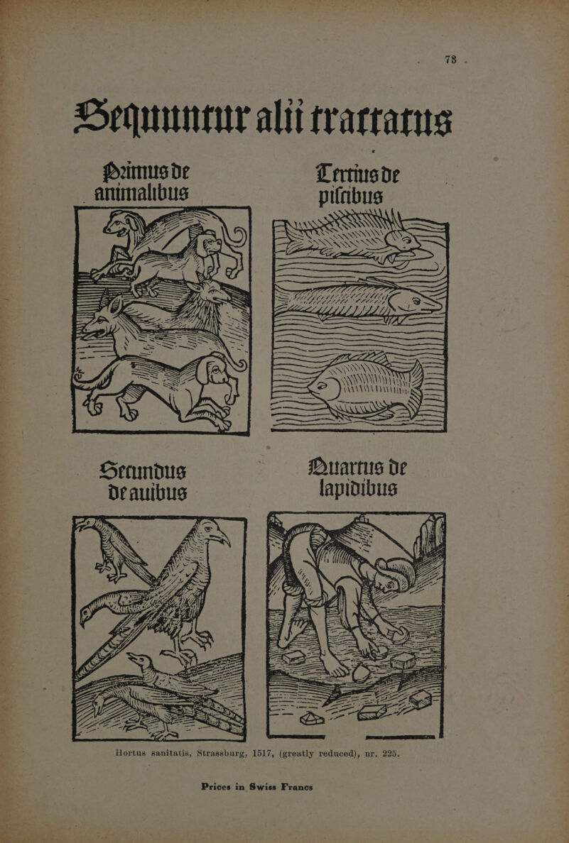 = * » 7 ; Sequnneur alii traccarts DH2imus de Tertius de _antmalibus pifabus ‘ \ E 4) La a re —- dt ——— ——— =— i 4 x ——— ~ 4 Ct th host lll hf, —> y f SERIE: Ct C07 4 ——— ., of, GSereundus Hortus sanitatis, Strassburg, 1517, (greatly reduced), nr. 225.