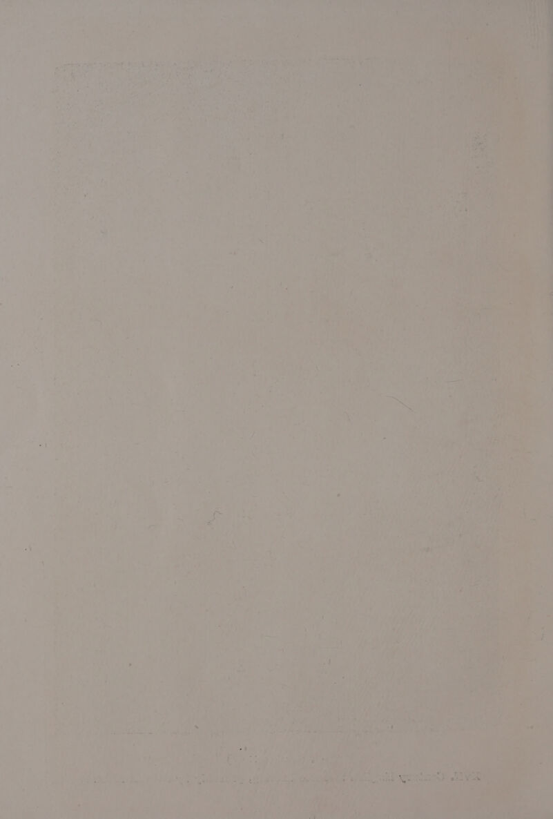 ‘ , ? ee ue eet a ‘ rare Tre . : 7% * ’ ‘ 5 Li ga : *f ae oi, ’ Pa i ? 4 is » ~ i 4) “4 a “ * e md cS ty ’ ¥ ‘ te fe ee F A ety x ae : : ? ‘ a7 P| 4  ‘ * * % - =, , 4 7 . ae ; : ' le i os) oor ° > . =, 4 . i y - . : = o ae . * - : * ; f D ’ b = 7 j . r~ Pat | b , j , ve ‘4 * ° , + I, P it _ ¥ a ‘ i ad , bt my a 4 a> .* ? iad a a) Fs ® * ‘ é i bo < % i 7 ‘ oe ) ayy rt : a Fi / a LT oy se a % # 4 Pa ara : gly ' rr ‘ ' ‘ a f A! Waa OO 3 aVerv Nek : _ é > uf + 7 r es ee: pee pa PM hd Pry * (ie ra tee Jae Pee, t V4 Tan > io, * ; UP est , ‘ >) %, a) 1) a 3 ~* i» jae le tf, > aio: ae a y nt Pete ae oH 3 e ] a oes : A a; ‘ P : a \ wWivatit 4 y ‘ >. : is r.Y s <6 ¢ mt a é ty ' Pree af hy Pty a 4 ‘eRe: