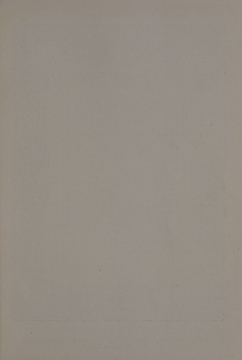 Vi te Met attr aw - 7% cA °. =, ~ ea oa ee | f i - * BAe - ae. 7 St