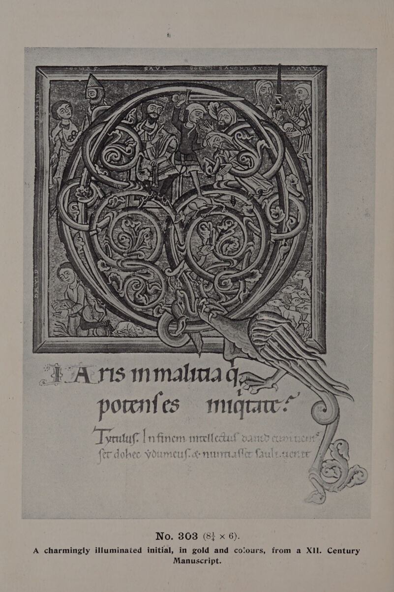 ts A ris mmatima q, yn L nfinem meetlecdtad vancr cenit per Vea ume &amp; niyiratler No. 803 (8; x 6). A charmingly illuminated initial, in gold and colours, from a XII. Century Manuscript.