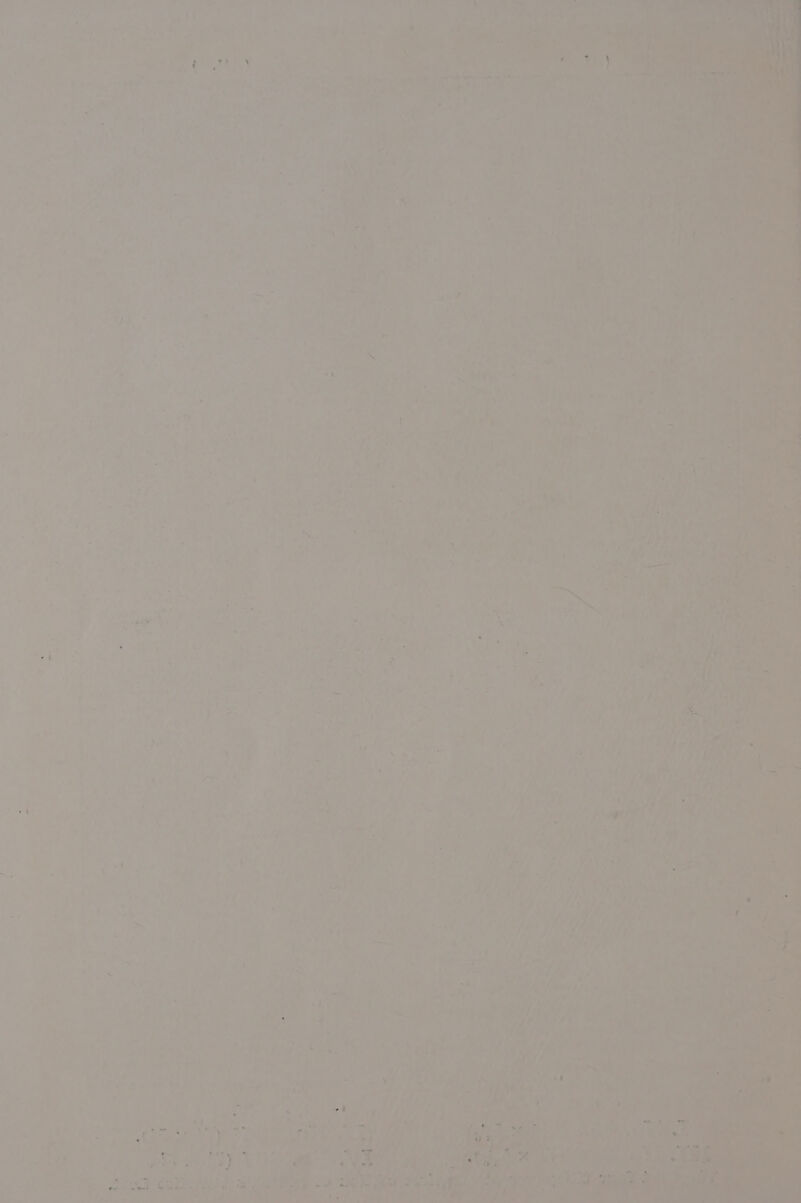 ‘ ms = a, oe anak, , fe ge he , one 7 Le o . of : any, / bin Uy. w “—_ ’ 7 . aa ‘ Pd | 2 a : x oe W-4ds 7 f Pa . > %y . f, \ ‘ ty ? y Py \ a , o A ‘ ; < * vp, sp ath “ : er) a ae ‘a ; ke ee Pe ee : 6% <i ‘ Ge 0 w VP Zee Nee «> DS Np a een Pgh Le