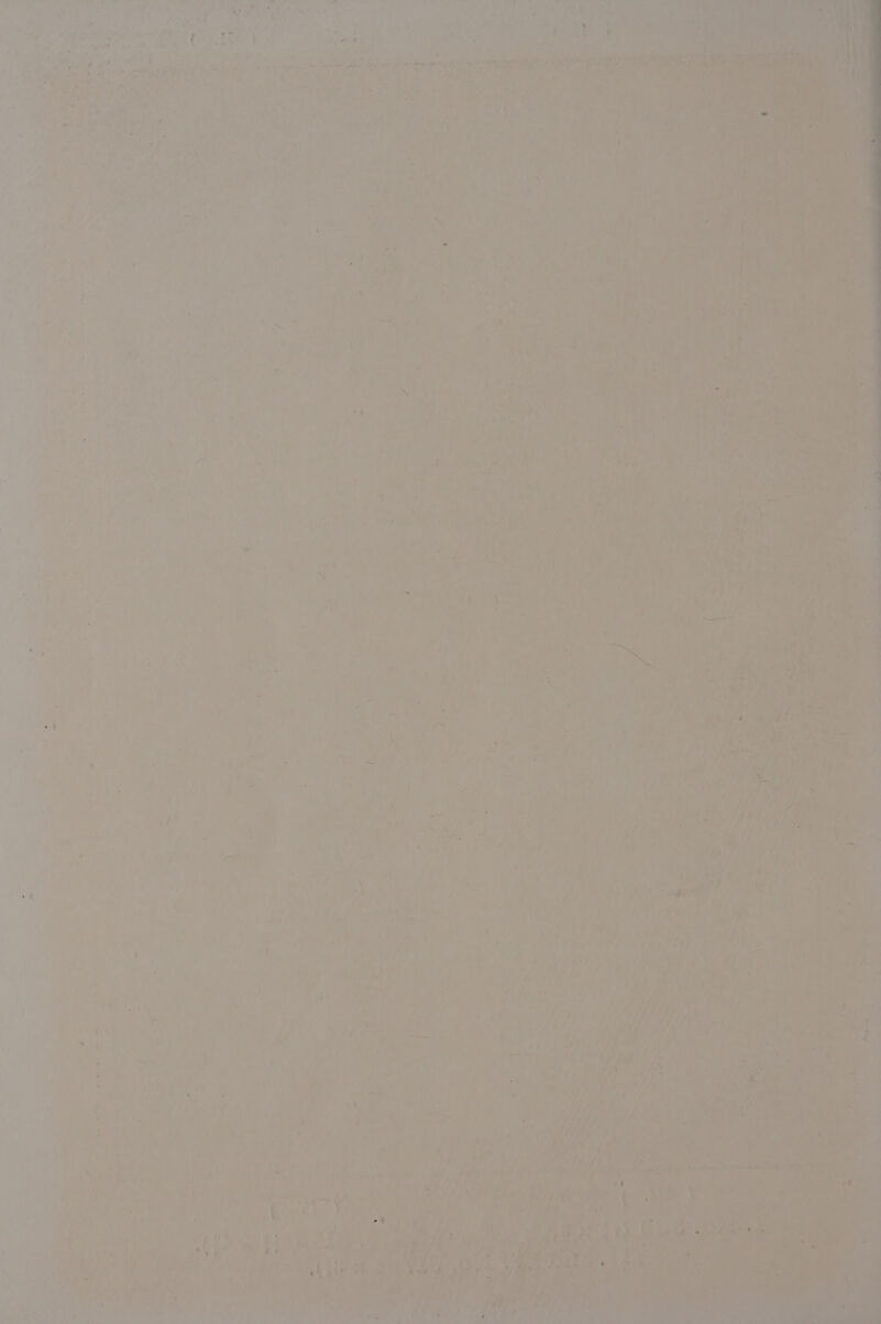 WRAL) 'an c3d ree we Oe —s — =F Ba i ™ 4 bin «, La : ’ ! ra  eet si) f tte wy, oe Ns — > eal RR focoerar a aries Pie ih 5 tk WN \ Ya vi ; {pat ®- ie ua Arie h bs rae if ye ERE ne wy \ : a { ANd SE COD DR ria t,