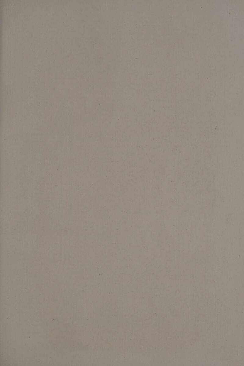 * : oe “4 (fi 4 iw ee +) BN Aisi sARraa 4 ta 7 - ; ary pe “5 Pig ecae eas chee tet ie Vda  = vk *) o ta