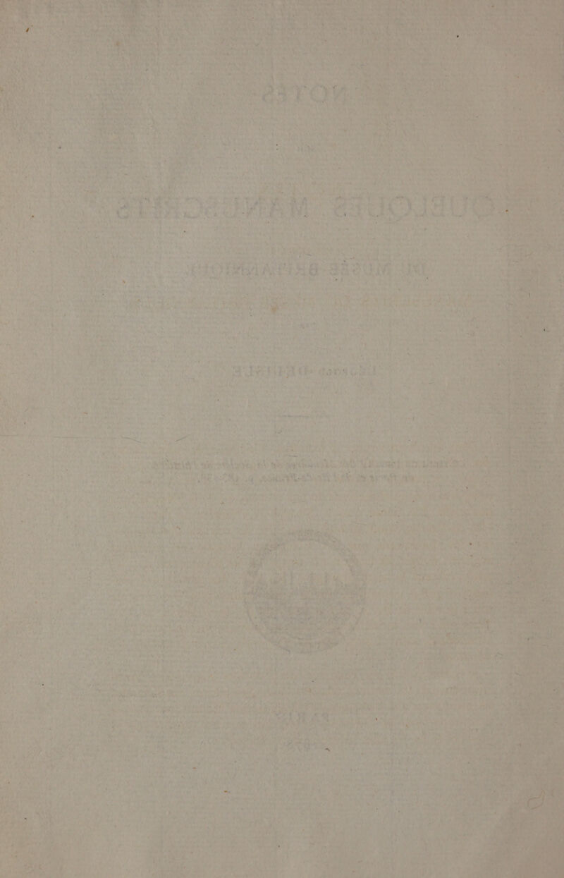 y hee Cit i Ropee ¢) ane ie , ee m2 Aria ier “adieiat ai, ies A NPR Y Oem Deh apni Ne wai ae, sn Py, i Apetaleeh “7 * ag ry ‘a gee tioac Nae % Va Pastel : al ae YRrr BEND, > vs ily