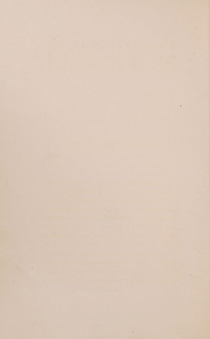 s - _ Bhai tes i. na, ig ees 5 “ 7 ant arly ia . ‘o8 , i isa . ee Pte me : : sien V4