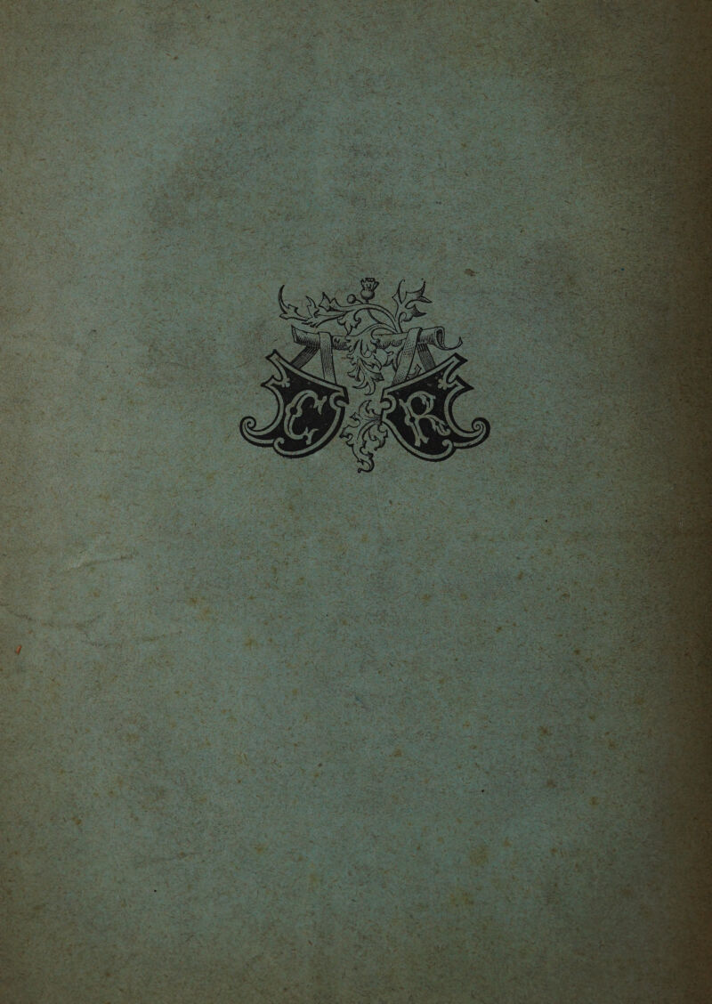 No text description is available for this image