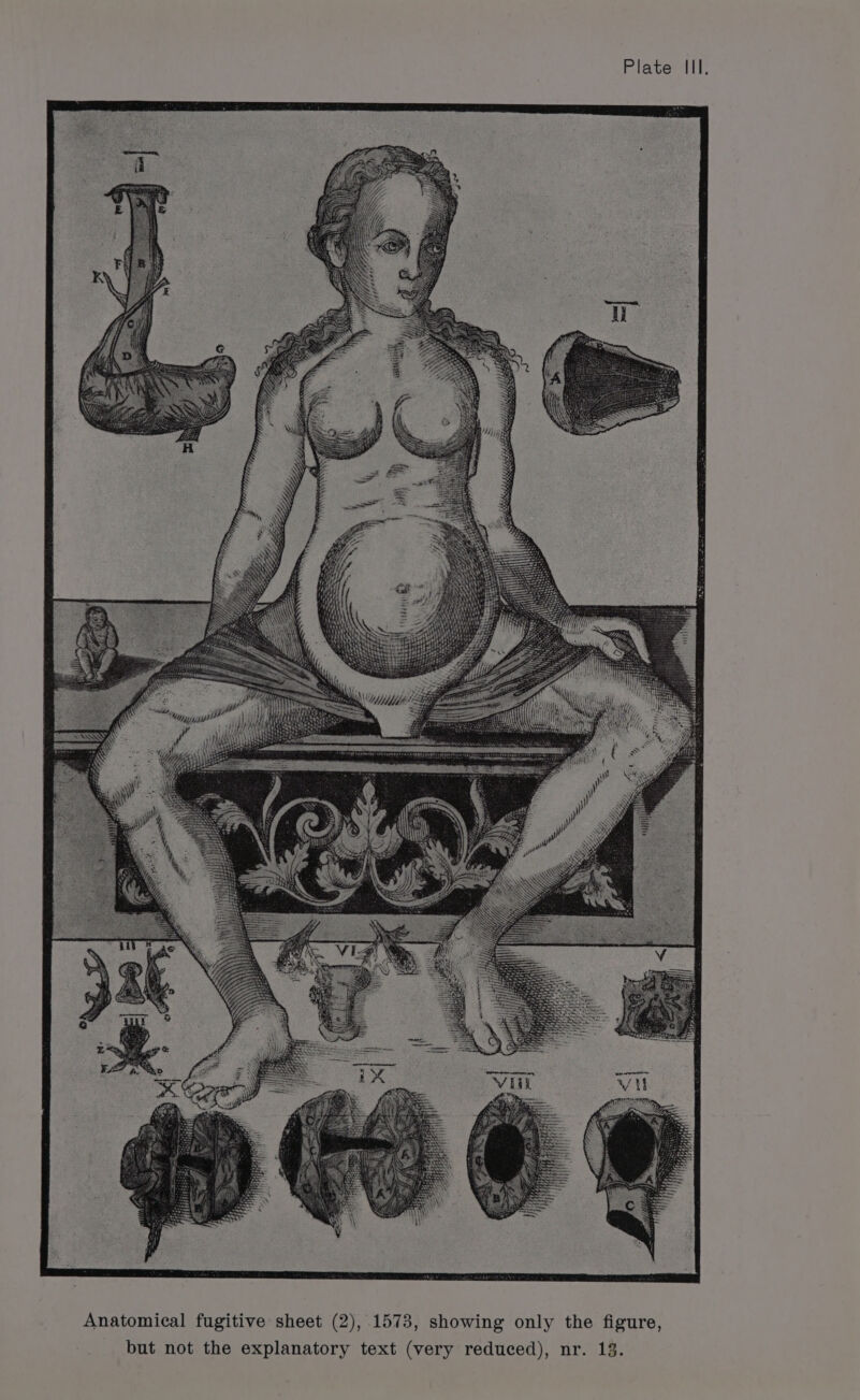 Anatomical fugitive sheet (2), 1573, showing only the figure, but not the explanatory text (very reduced), nr. 13.