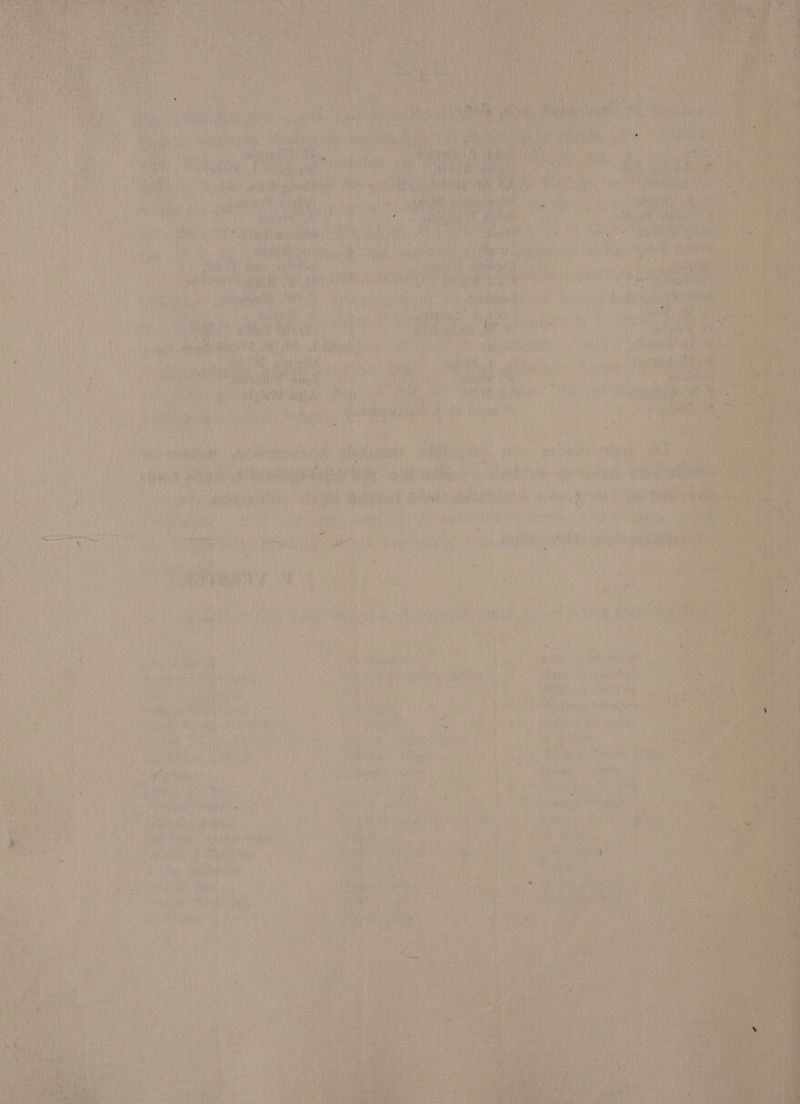 Daly Wk PRR, PnP eh An 7 i. BAe he ; ? 7 Whs yt OT IN iy