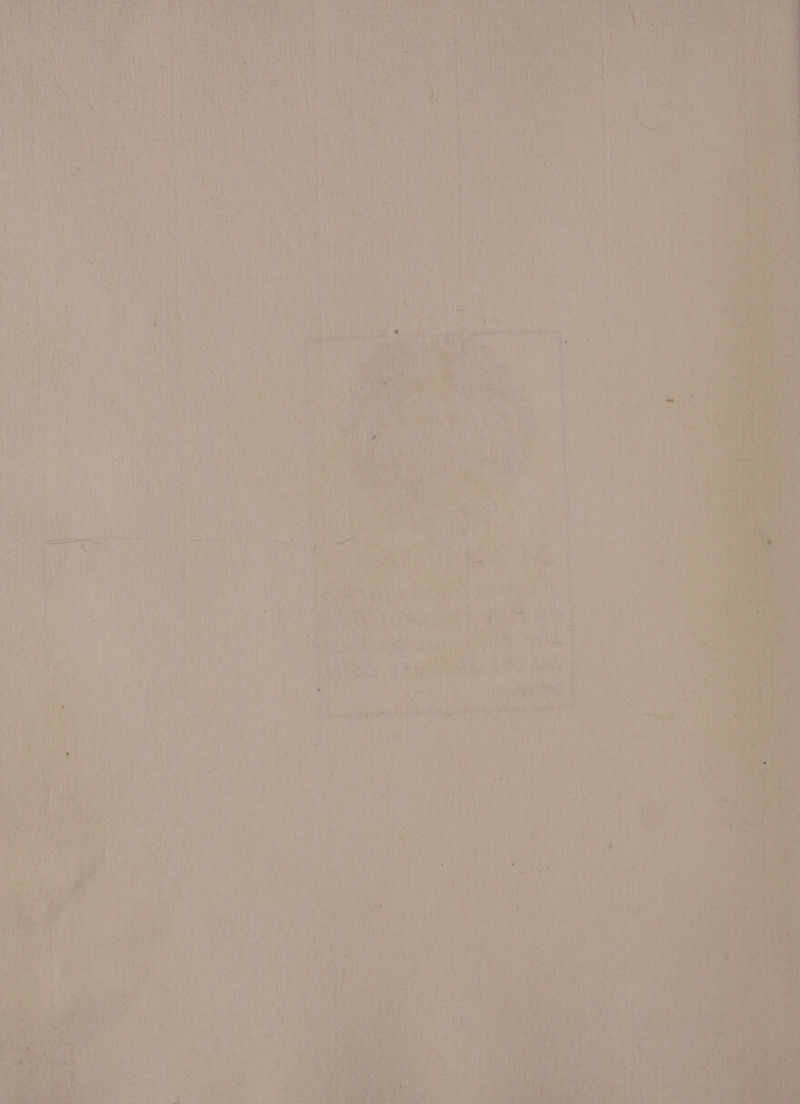 ig (on ~ Nt eee ee EN LET? ¥ i ' 5