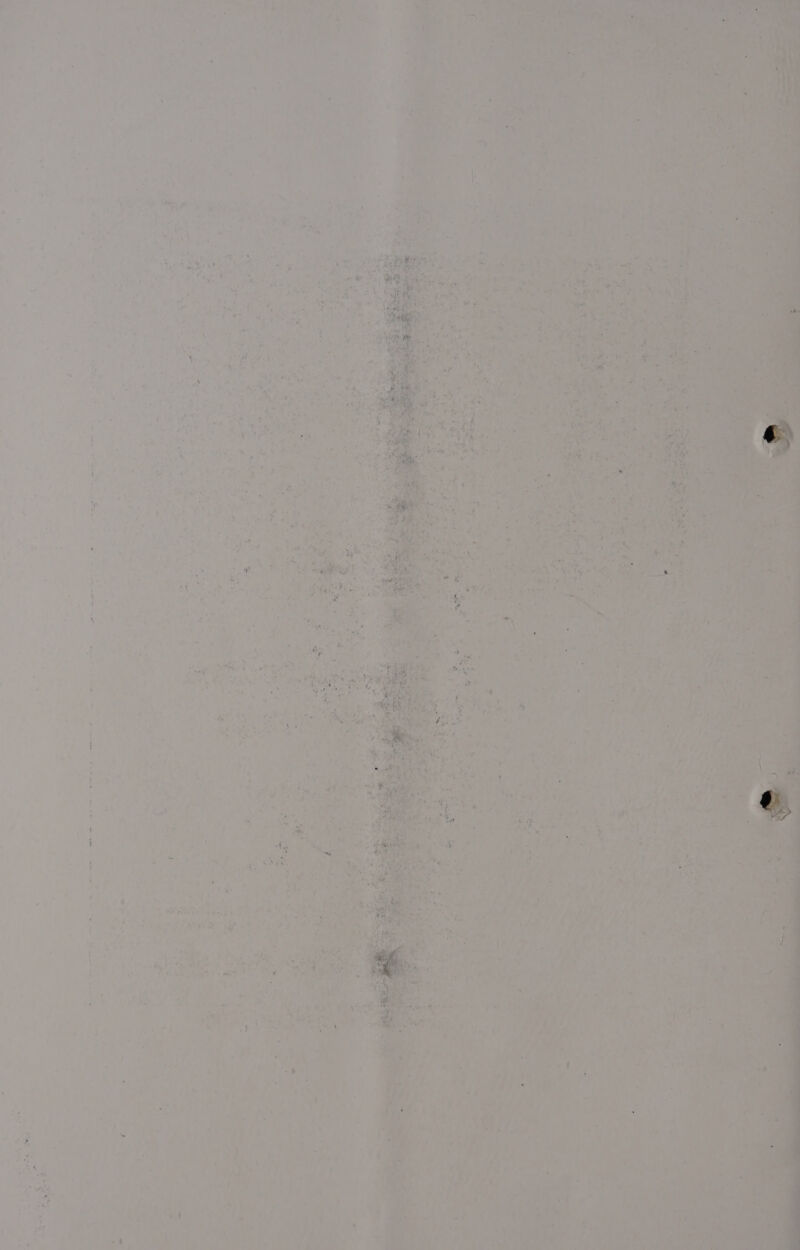 Tee beers ee he pa 5 eae. Fe #723 re Ps we: i¥. ; {1 f ¢ bas A | oe “a eae LF