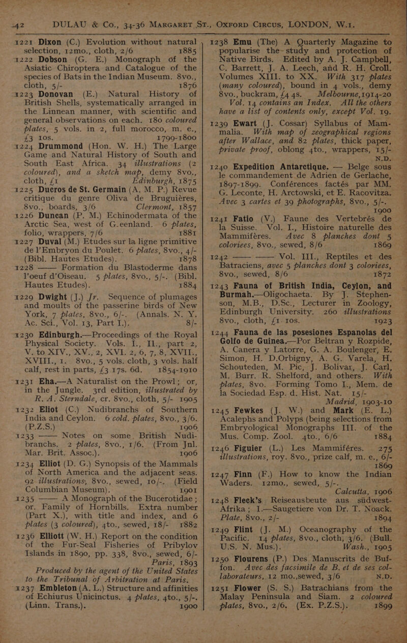 —. 1221 Dixon (C.) Evolution without natural selection, 12mo., cloth, 2/6 1885 1222 Dobson (G. E.) Monograph of the Asiatic Chiroptera and Catalogue of the species of Bats in the Indian Museum. 8vo., cloth, 5/- 1876 1223 Donovan (E.) Natural History of British Shells, systematically arranged in the Linnean manner, with scientific and general observations on each. 180 coloured plates, 5 vols. in 2, full morocco, m. e., £3 10s. 1799-1800 1224 Drummond (Hon. W. H.) The Large Game and Natural History of South and South East Africa. 34 illustrations (2 coloured), and a sketch map, demy 8vo., cloth, £1 Edinburgh, 1875 1225 Dueros de St. Germain (A. M. P.) Revue critique du genre Oliva de Bruguiéres, 8vo., boards, 3/6 Clermont, 1857 1226 Dunean (P. M.) Echinodermata of the Arctic Sea, west of G-.eenland. 6 plates, folio, wrappers, 7/6 1881 1227 Duval (M.) Etudes sur la ligne primitive de ’Embryon du Poulet. 6 plates, 8vo., 4/- (Bibl. Hautes Etudes). 1878 1228 Formation. du Blastoderme dans Voeuf d’Oiseau. 5 plates, 8vo., 5/-. (Bibl. Hautes Etudes). 1884 1229 Dwight (J.) Jy. Sequence of plumages and moults of the passerine birds of New York, 7 plates, 8vo., 6/-. (Annals. N. Y. Ag. Sci., V0l..13,-Part-L). 8/- “1230 Edinburgh.—Proceedings of the Royal Physical Society. Vols. I., Il., part 2, Mxtiisl VON se 2; XV ES 256; 2; -B OV ie. XVITI., 1. 8vo., 5 vols. cloth, 3 vols. half _calf, rest in parts, £3 17s. 6d. 1854-1910 ~4231 Eha.—A Naturalist on the Prowl; or, in the Jungle. 3rd edition, tllustvated by R.A. Sterndale, cr. 8vo., cloth, 5/- 1905 1232 Eliot (C.) Nudibranchs of Southern India and Ceylon. 6 cold. plates, 8vo., 3/6. (P.Z.38.) 1906 1233 See on some. British Nudi- branchs. 2 plates, 8vo., 1/6. (From Jnl. Mar. Brit. “Assoc.). 1906 1234 Elliot (D. G.) Synopsis of the Mammals of North America and the adjacent seas. 92 illustrations, 8vo., sewed, 10/-. (Field Columbian Museum). 1901 1235 A Monograph of the Bucerotidae ; or. Family of Hornbills. Extra number (Part X.), with title and index, and 6 plates (3 coloured), 4to., sewed, 18/- 1236 Elliott (W. H.) Report on the condition of the Fur-Seal Fisheries of Pribylov Islands in 1890, pp. 338, 8vo., sewed, 6/- Paris, 1893 Produced by the agent of the United States to the Tribunal of Arbitration at Paris. -%1237 Embleton (A. L.) Structure and affinities of Echiurus Unicinctus. 4 plates, 4to., 5/-. (Linn. Trans.). 1900 Native Birds. Edited by A. J. Campbell, C. Barrett, J. A. Leech, and R. H. Croll. Volumes XIII. to XX. With 317 plates (many coloured), bound in 4 vols., 8vo., buckram, {4 4s. Melbowrne,1914-20 Vol. 14 contains an Index, All the others have a list of contents only, except Vol. 19. 1239 Ewart (J. Cossar) Syllabus of Mam.- malia. With map of zeographical regions after Wallace, and 82 plates, thick paper, private proof, oblong 4to., wrappers, 15/- N.D. 1240 Expedition Antarctique. — Belge sous le commandement de Adrien de Gerlache, 1897-1899. Conférences factés par MM. G. Leconte, H. Arctowski, et E. Racovitza, _ Avec 3 cartes et 39 photographs, 8vo., 5/-. 1900 1241 Fatio (V.) Faune des Vertebrés de la Suisse. Vol. I., Histoire naturelle des Mammiféres. Avec 8 planches dont 5 coloriees, 8vo., sewed, 8/6 1242 Vol. III., Reptiles et des Batraciens, avec 5 planches dont 3 colortees, 8vo., sewed, 8/6 1872 1243 Fauna of British India, Ceylon, and Burmah. i By Jj. Stephen- son, M.B., D.Sc., Lecturer in Zoology, Edinburgh University. 260 llustvations 8vo., cloth, £1. Ios. 1244 Fauna de las posesiones Espanolas del Golfo de Guinea.—Por Beltran y Rozpide, A. Canera y Latorre, G. A. Boulenger, E. Simon, H. D.Orbigny, A. G. Varela, H. Schouteden, M. Pic, J. Bolivar, J. Carl, M. Burr. R. Shelford, and others. With plates, 8vo. Forming Tomo I., Mem. de la Sociedad Esp. d. Hist. Nat. 15 /- Madrid, 1903-10 1245 Fewkes (J. W.) and Mark (E. L.) Acalephs and Polyps (being selections from Embryological Monographs III. of the Mus. Comp. Zool. 4to., 6/6 ~ 1884 1246 Figuier (L.) Les Mammiféres. illustrations, roy. 8vo., prize calf, m. e., 6/- 1869 Waders. 12mo., sewed, 5/-. Calcutta, 1906 1248 Fleck’s Reiseausbeute aus_ siidwest- Afrika ; I.—Saugetiere von Dr. T. Noack. Plate, 8vo., 2/- 1894 1249 Flint (J. M.) ’ Pacific. 14 plates, 8vo., cloth, 3/6. (Bull. UiseNicMus:). Wash., 1905 1250 Flourens (P.) Des Manuscrits de Buf- fon. Avec.des facsimile de B. et de ses col- laborateurs, 12 mo.,sewed, 3/6 N.D. 1251 Flower (S. S.) Batrachians from the Malay Peninsula and Siam. 2 coloured plates, 8vo., 2/6. (Ex. P.Z.S.). 1899