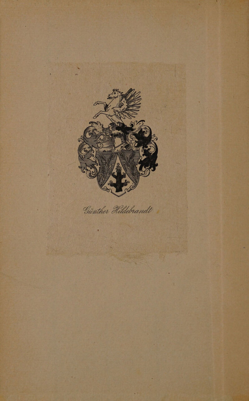 Pade oe why 7 Cl ZL Gijpoth