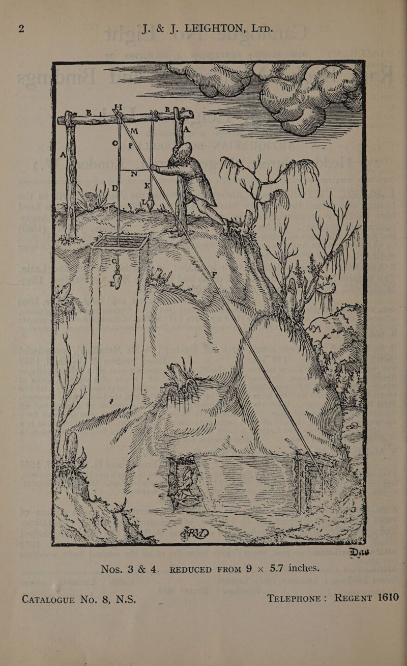 ahh |. EBIGHTON Lip. y N : ( Vd Wg WA WA ons Sy y AANA SAA - =f i oe A As HH J” ff y te / \ ' ds = Siow we ate — \ SiR SSS SSS = == “S a . YRS 3 A 2 - : F Rintya Mite WSs ote Nos. 3 &amp; 4. REDUCED FROM 9 x 5.7 inches. REGENT 1610 TELEPHONE : CATALOGUE No. 8, N.S.