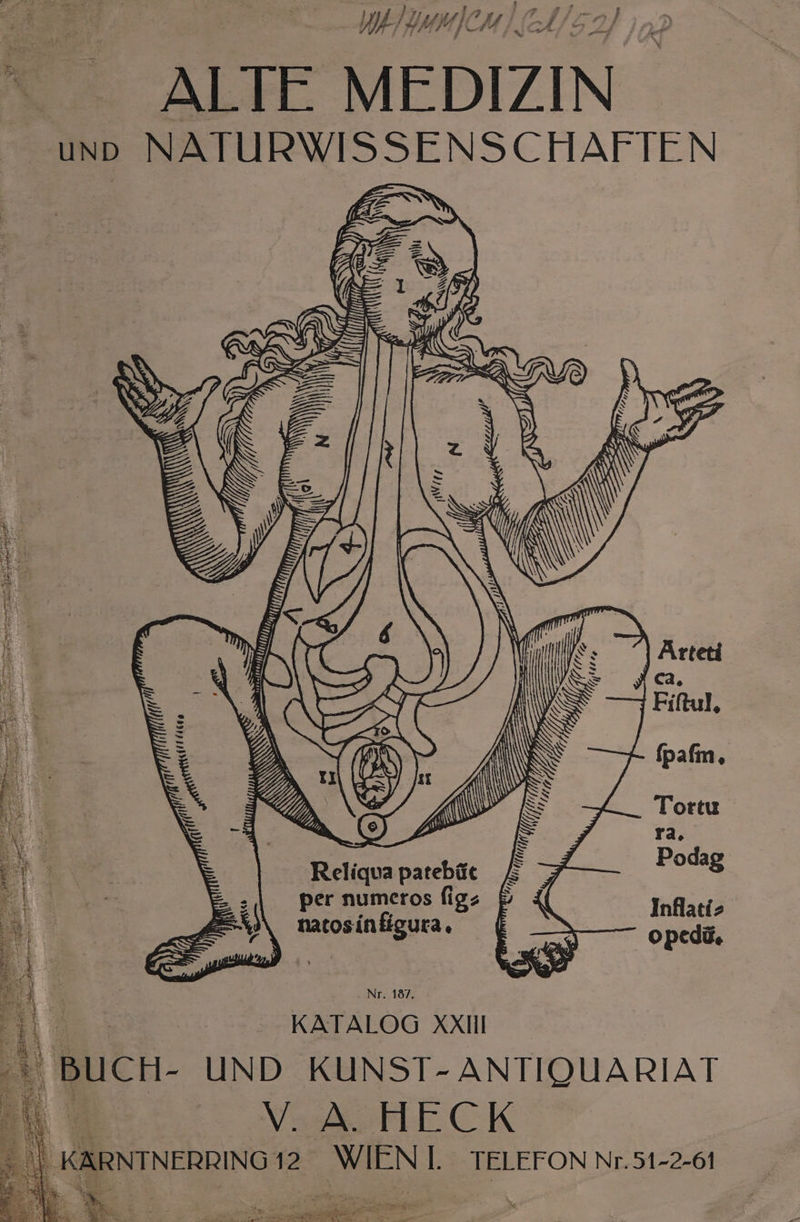 ! y7 # } Fü 4 £ WIRFT FITGE ; LE Fe. . WET HMMICH | (SA fh Pr  , F il B de . e ALTE MEDIZIN und NATURWISSENSCHAFTEN MT? / MON f Ärteti ca, fpafm, Tortu ra. Reliqua patebüt Bone per numeros fig natosinfigura. Inflati> o pedü. Pi KATALOG AXII ' BUCH- UND KUNST- ANTIQUARIAT ES VSasHECK - \ KARNTNERRING 12 WIEN I. TELEFON Nr. 51-2-61 ne 1. Gigpeaiii . ’ a x En ee, NT, ae Et nn.