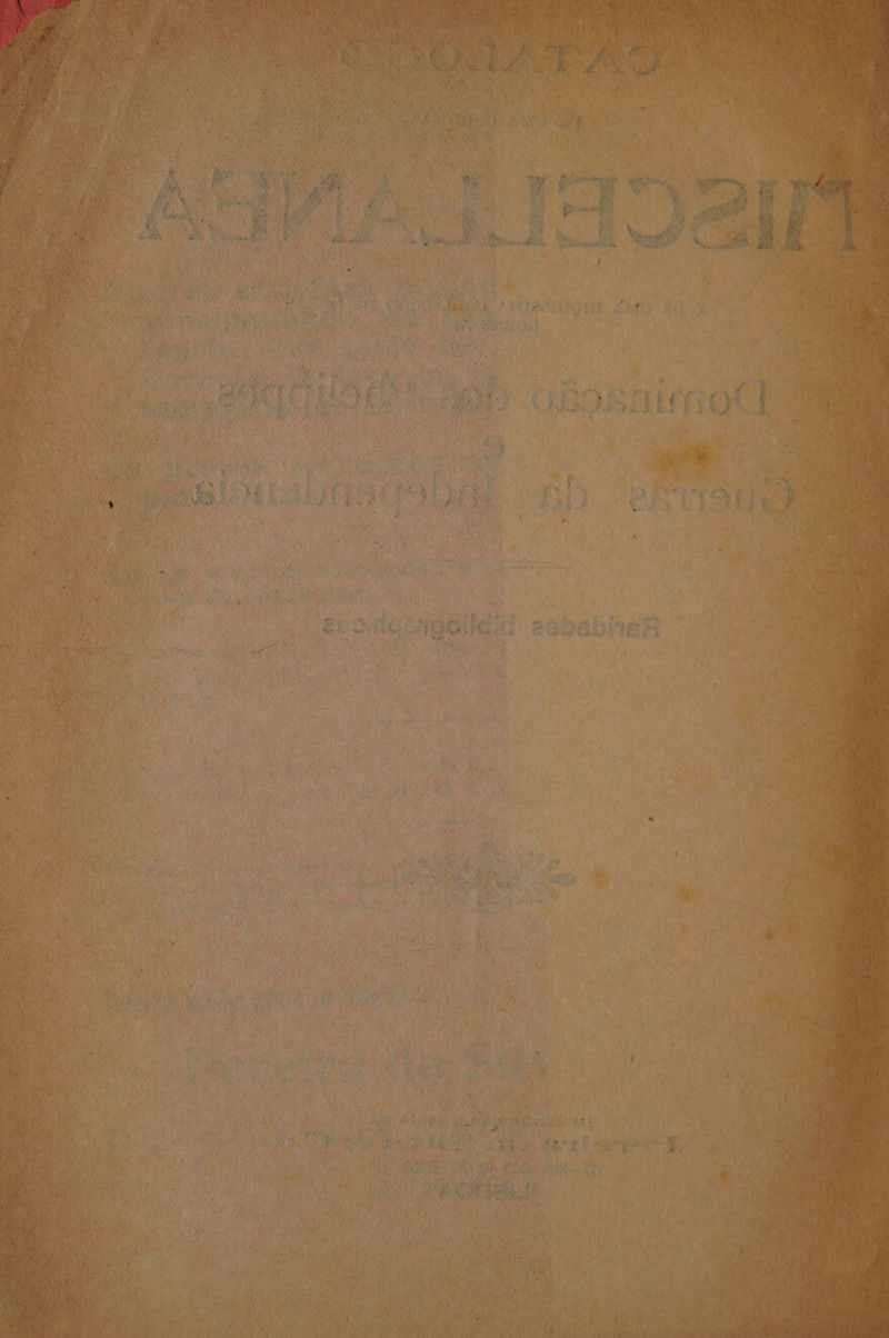 pee ee 3 ee ? ae 3 te es * i ‘ . Bs ¥ oe