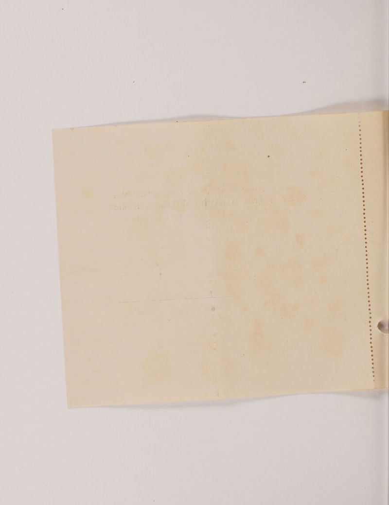 ‘a ip eae ’ Mab Tie De 5 ee c ; ; sah ; . ie = ar . ; . bi 4 . oa 7 vr he ot i : > x ee : ees ; : 7 © an : ¥ r i es *} ’ “ as ss 4 i S ‘ne h ee PRE Wil Bee x } owen 4  ; : F é ay wos a * P. PAY eee * ’ ~*y his | pec oe . 7 a° ; c : Gin 4 i rs » o 1 oar ' bi =~ Pay be ’ y »t ee i . | 3 = REN ” F ’ . ‘te Biss tiee ack ar z ire F b . @ . ene es we eeeee eoe