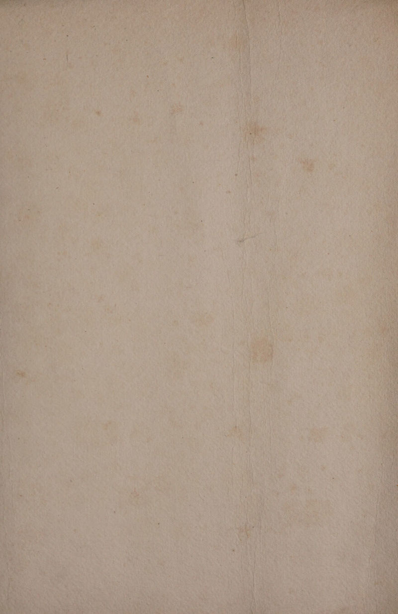 en a ee ts — - fi iy pgs ne, iS ge Pe Ses ai wat gn